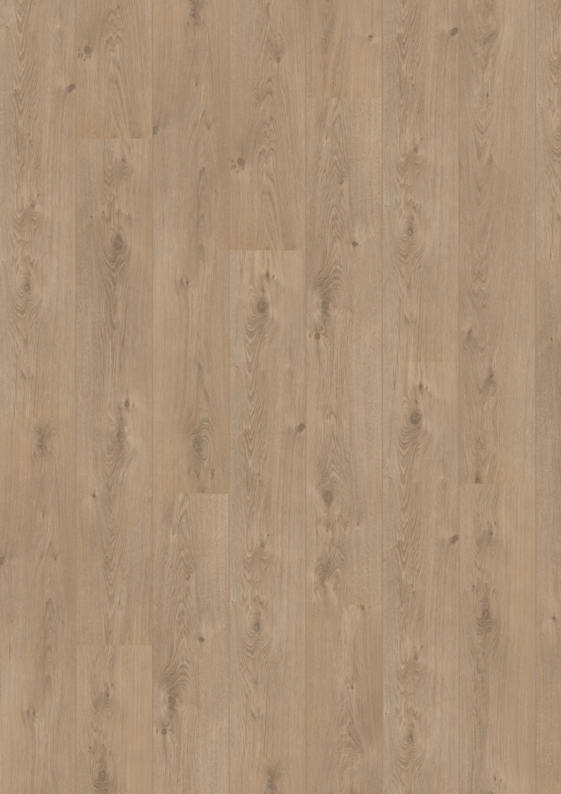 Royal V2 Marche 583 – Aquaprotect