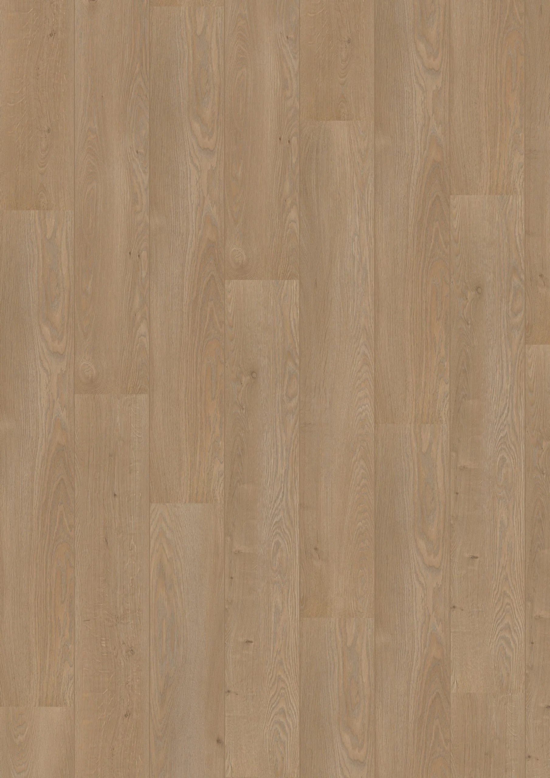 Royal V2 Lombardije 4939 – Aquaprotect