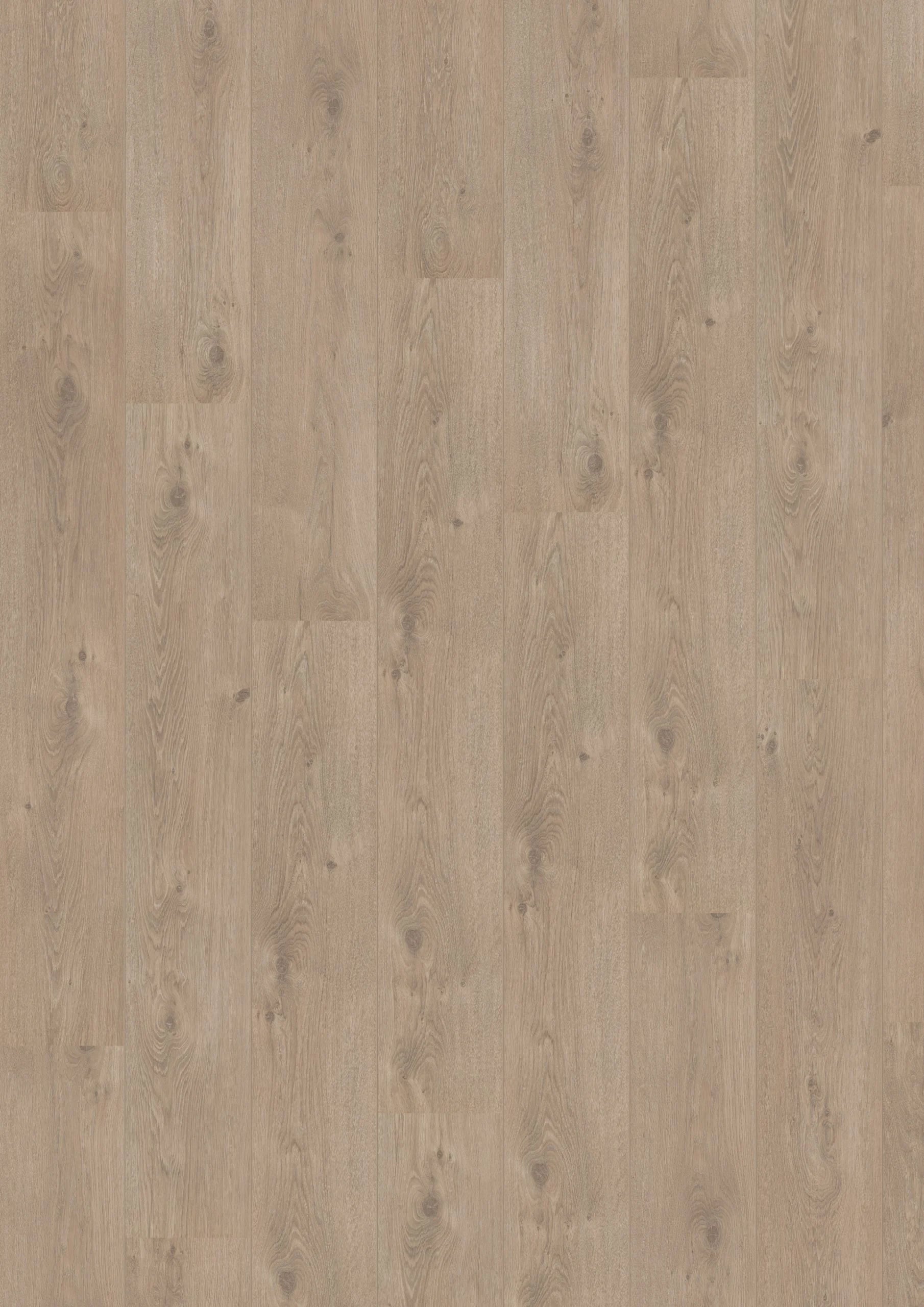 Royal V2 Puglia 4941 – Aquaprotect