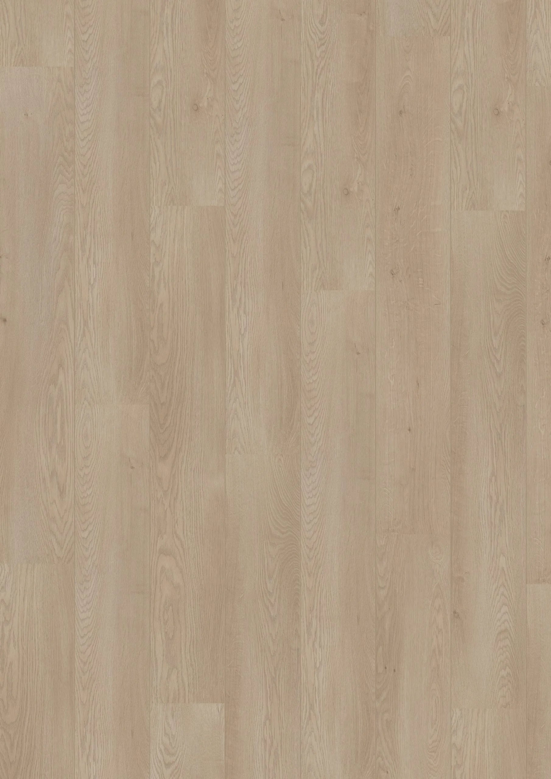 Royal V2 Molise 5299 – Aquaprotect