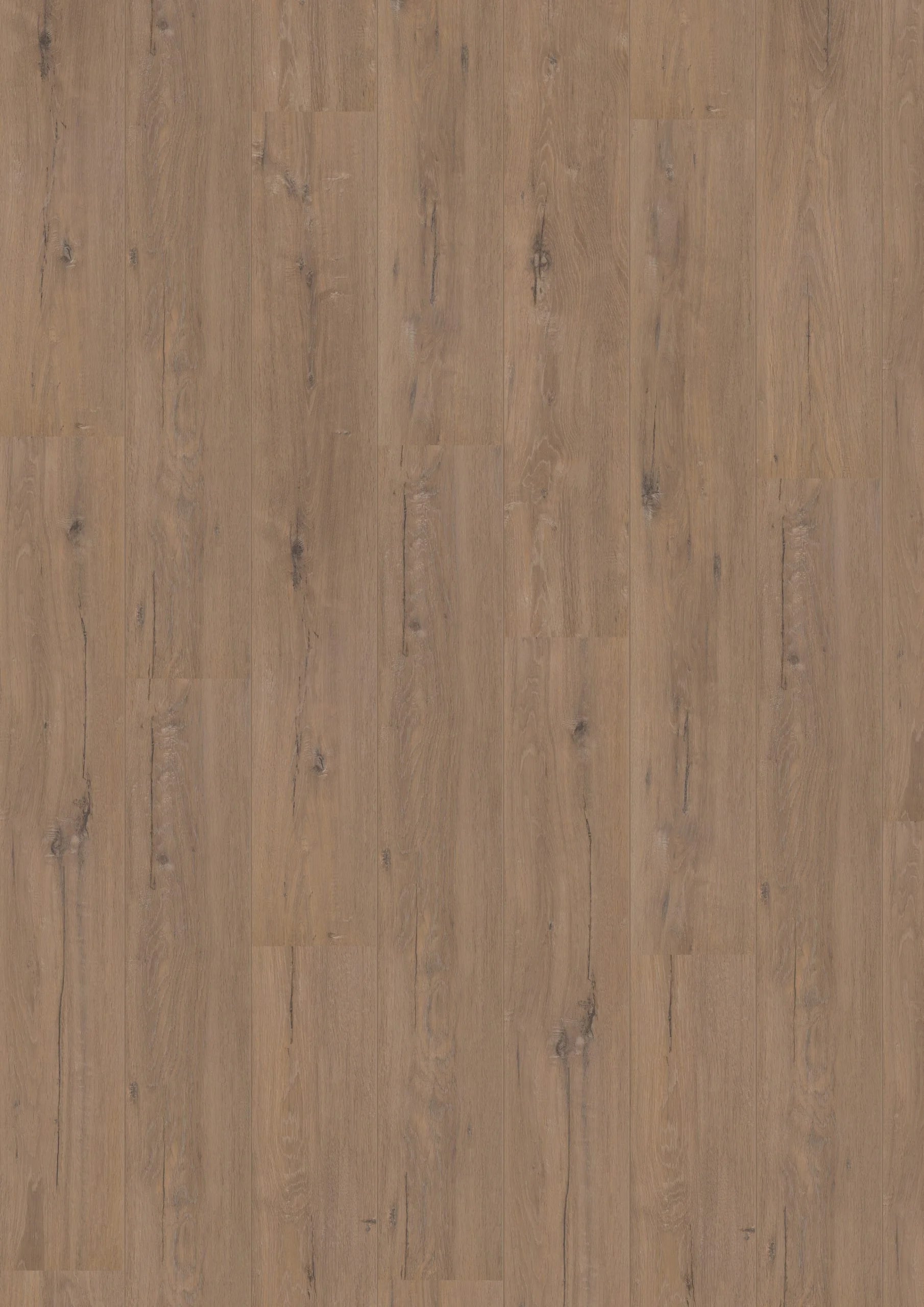 Royal V2 Toscane Eik 902