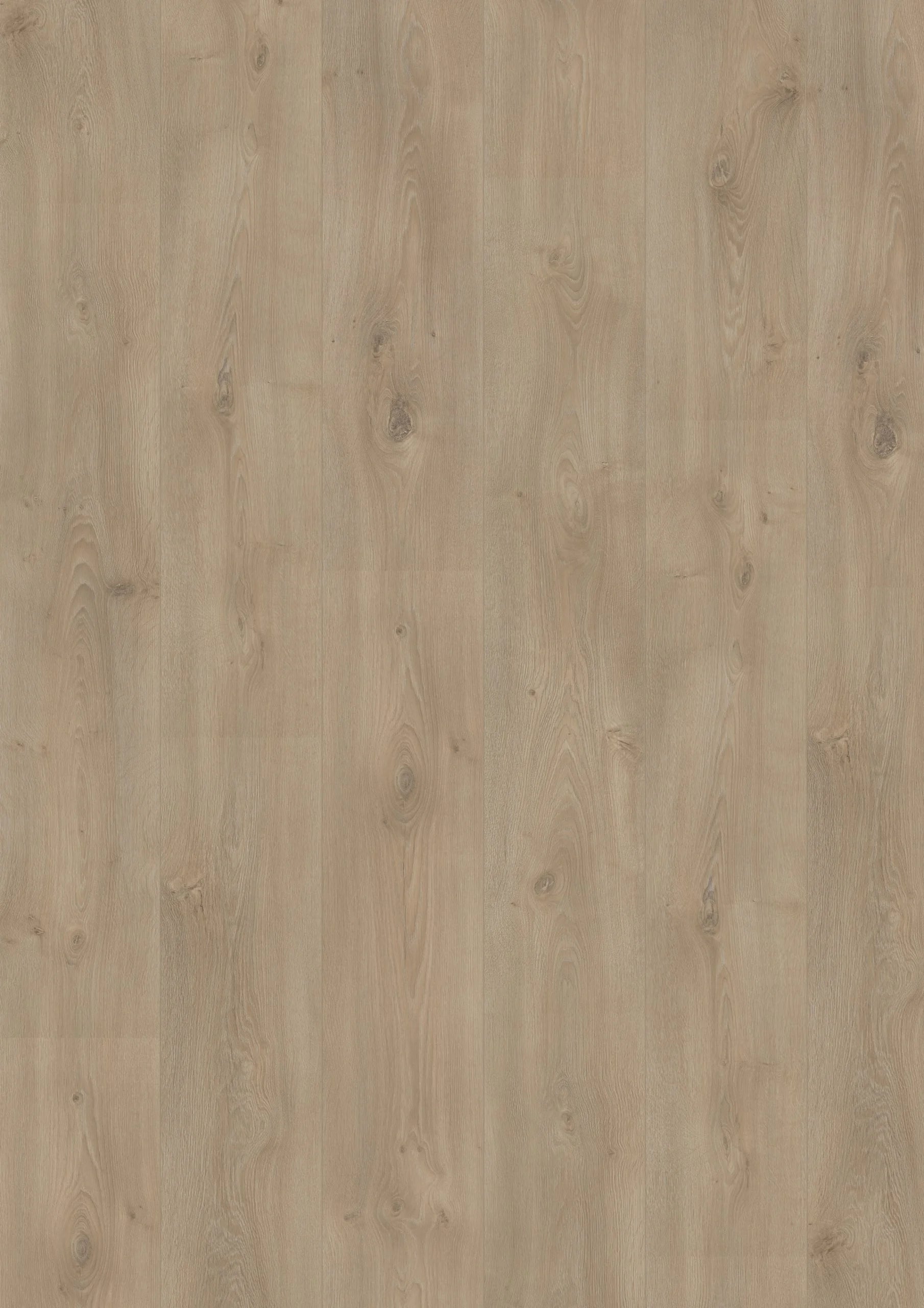 Royal XL V2 Mount Everest 106 – Aquaprotect