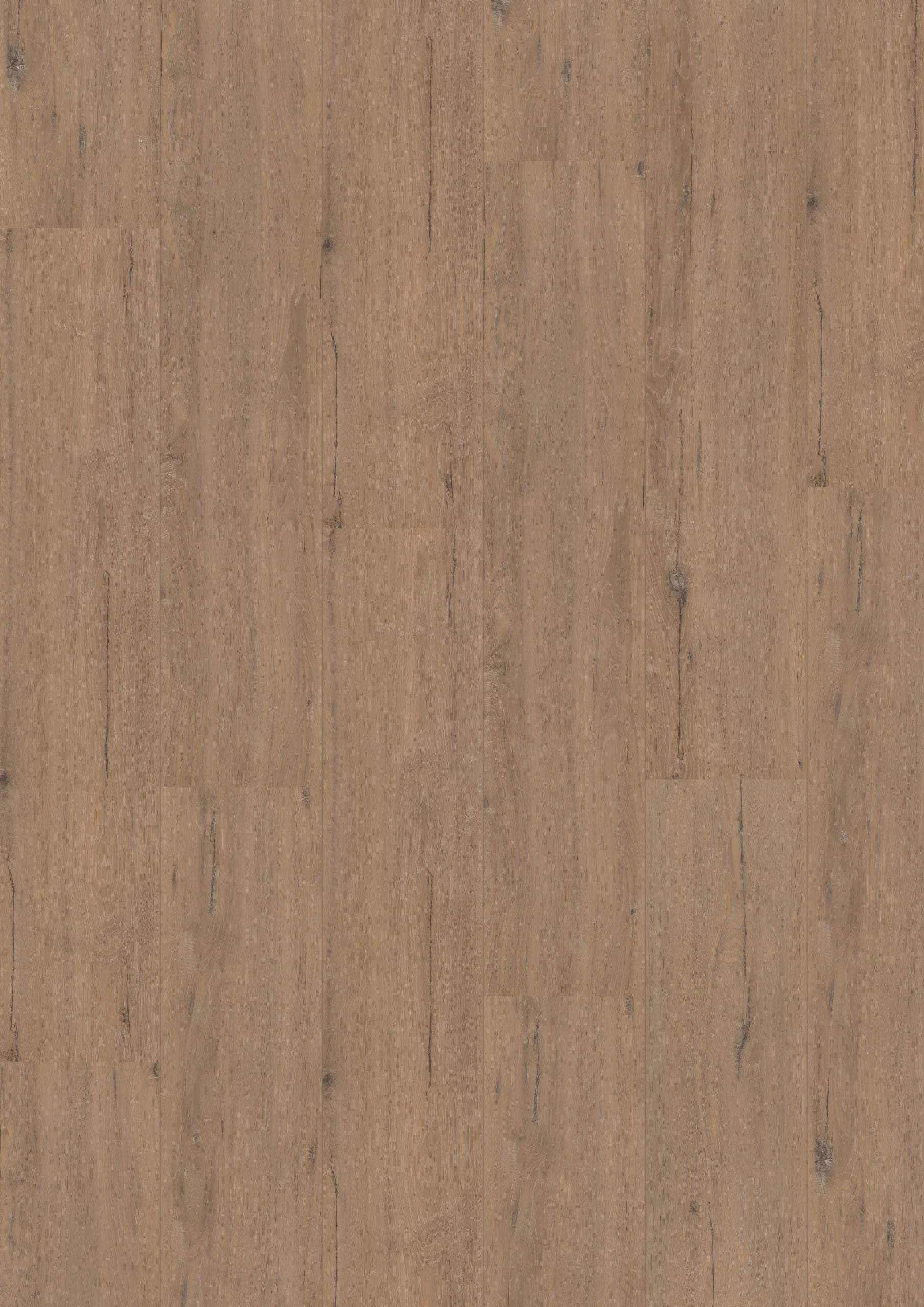 Royal XL V2 Karwendel 902 – Aquaprotect