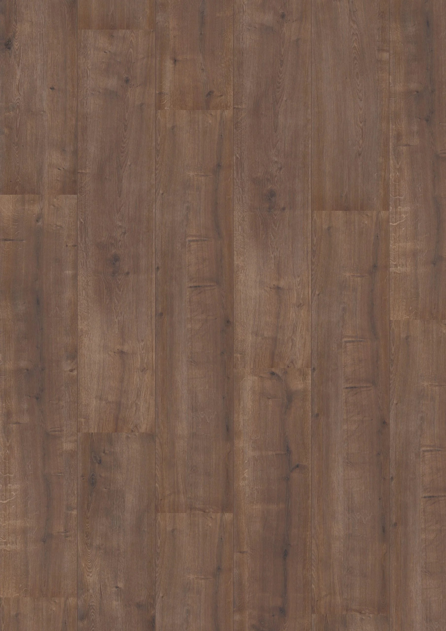 Royal XL V2 Rocky Mountain 959 – Aquaprotect