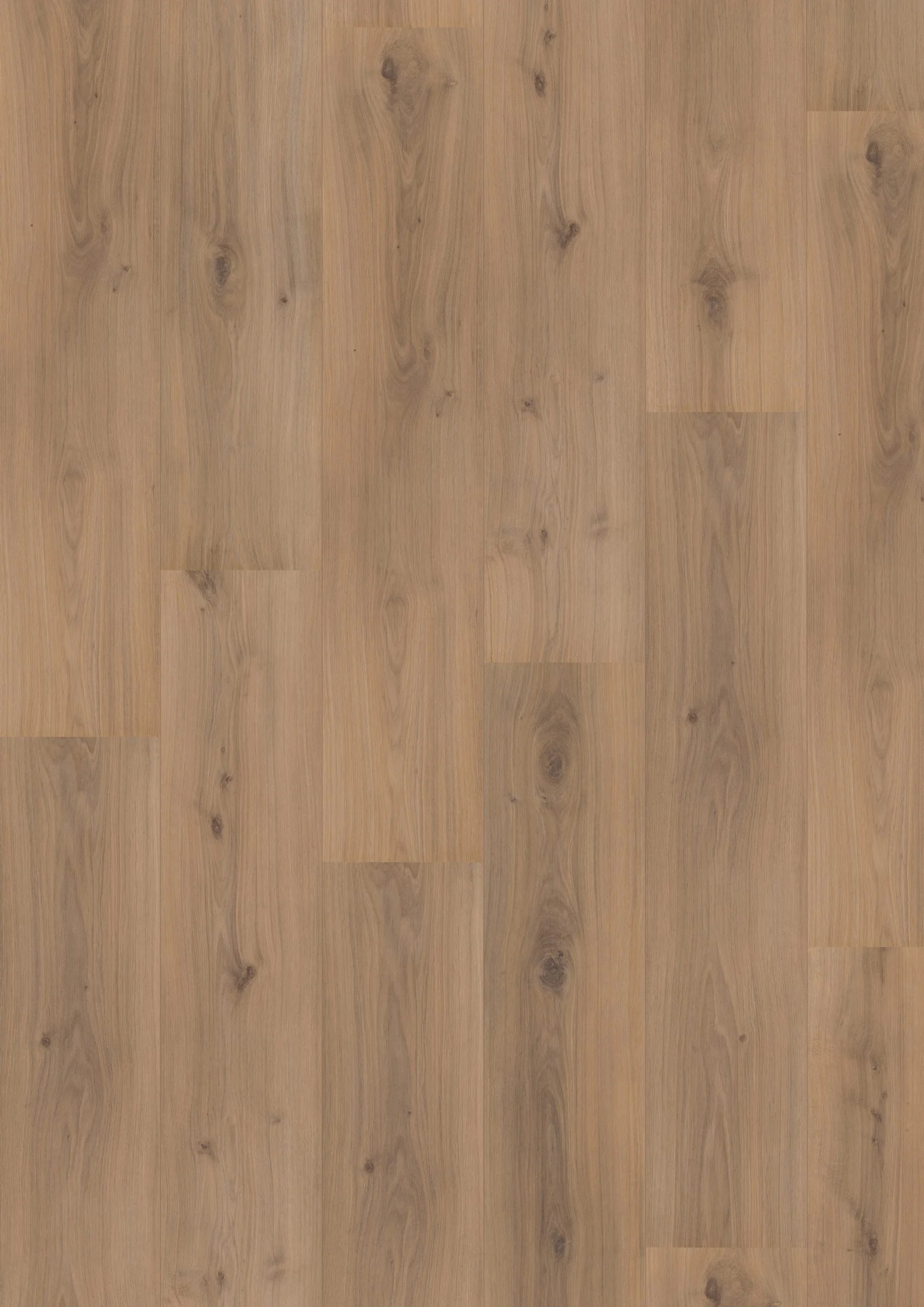 Royal XL V2 Jungfrau 4936 – Aquaprotect