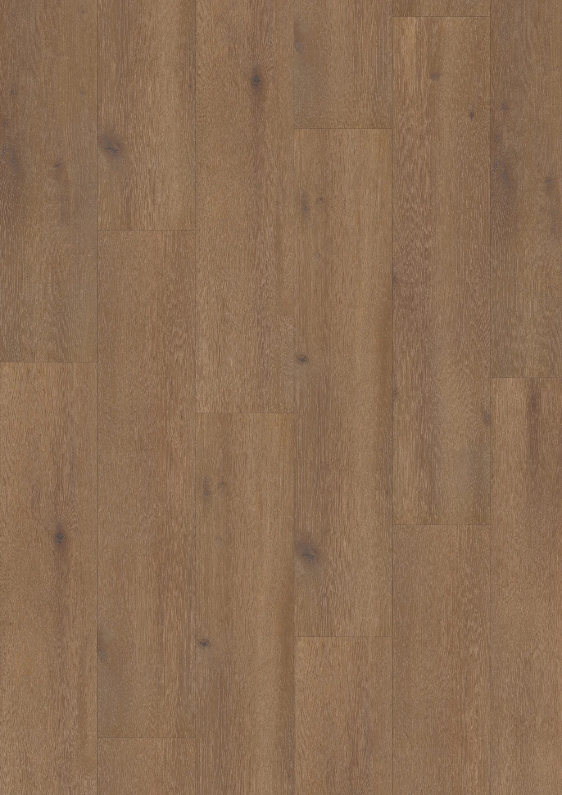 Elite XL V4 Waal 6079 – Aquaprotect