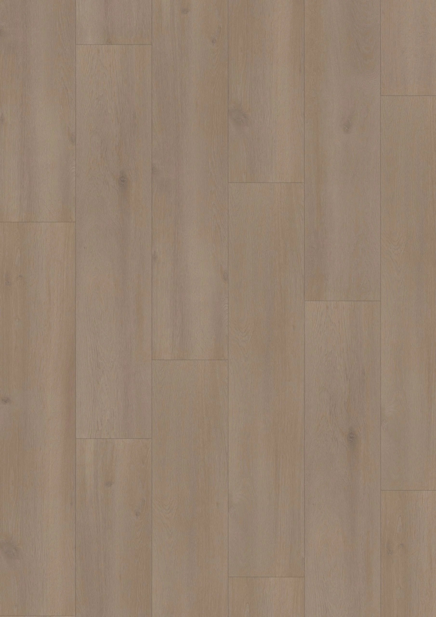 Elite XL V4 Spaarne 6081 – Aquaprotect