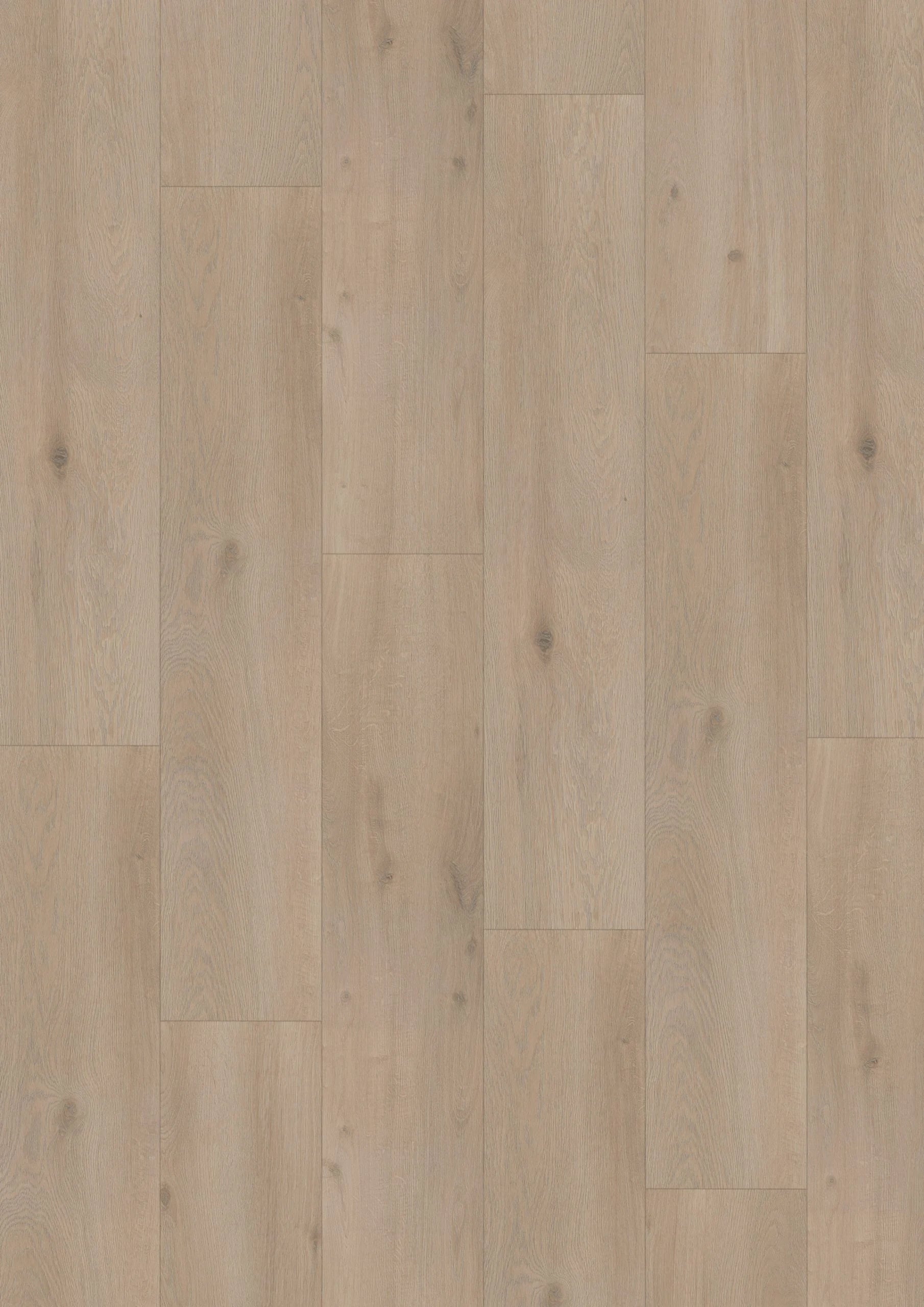 Elite XL V4 Amstel 6083 – Aquaprotect