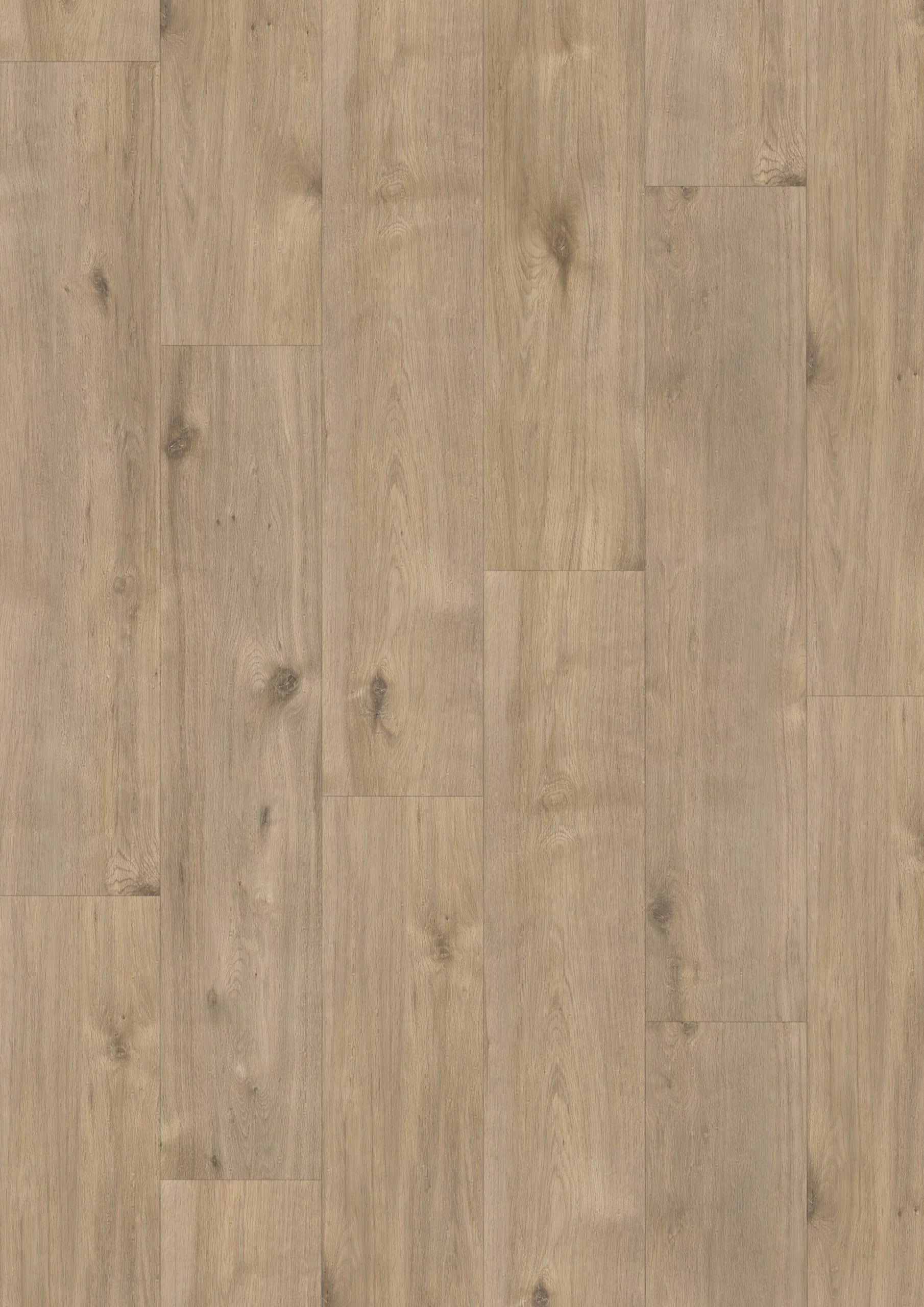 Elite XL V4 Maas 60969 – Aquaprotect