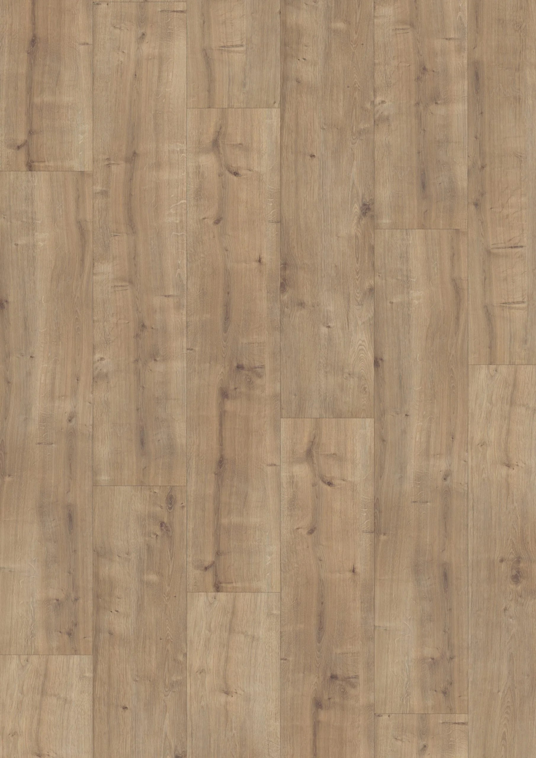 Elite XL Rijn 60946 – Aquaprotect