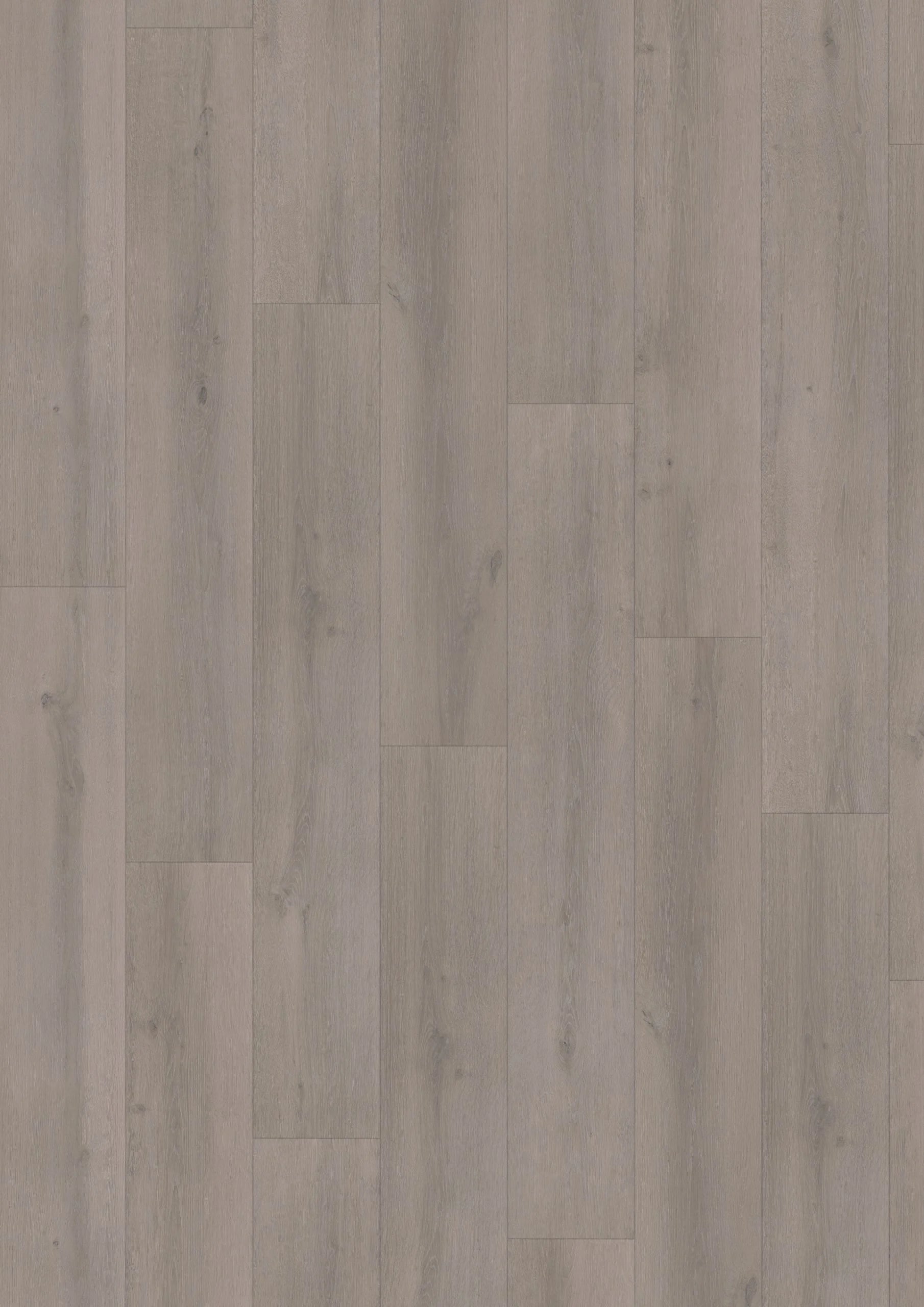 Elite Classic V4 Amber 6041 – Aquaprotect