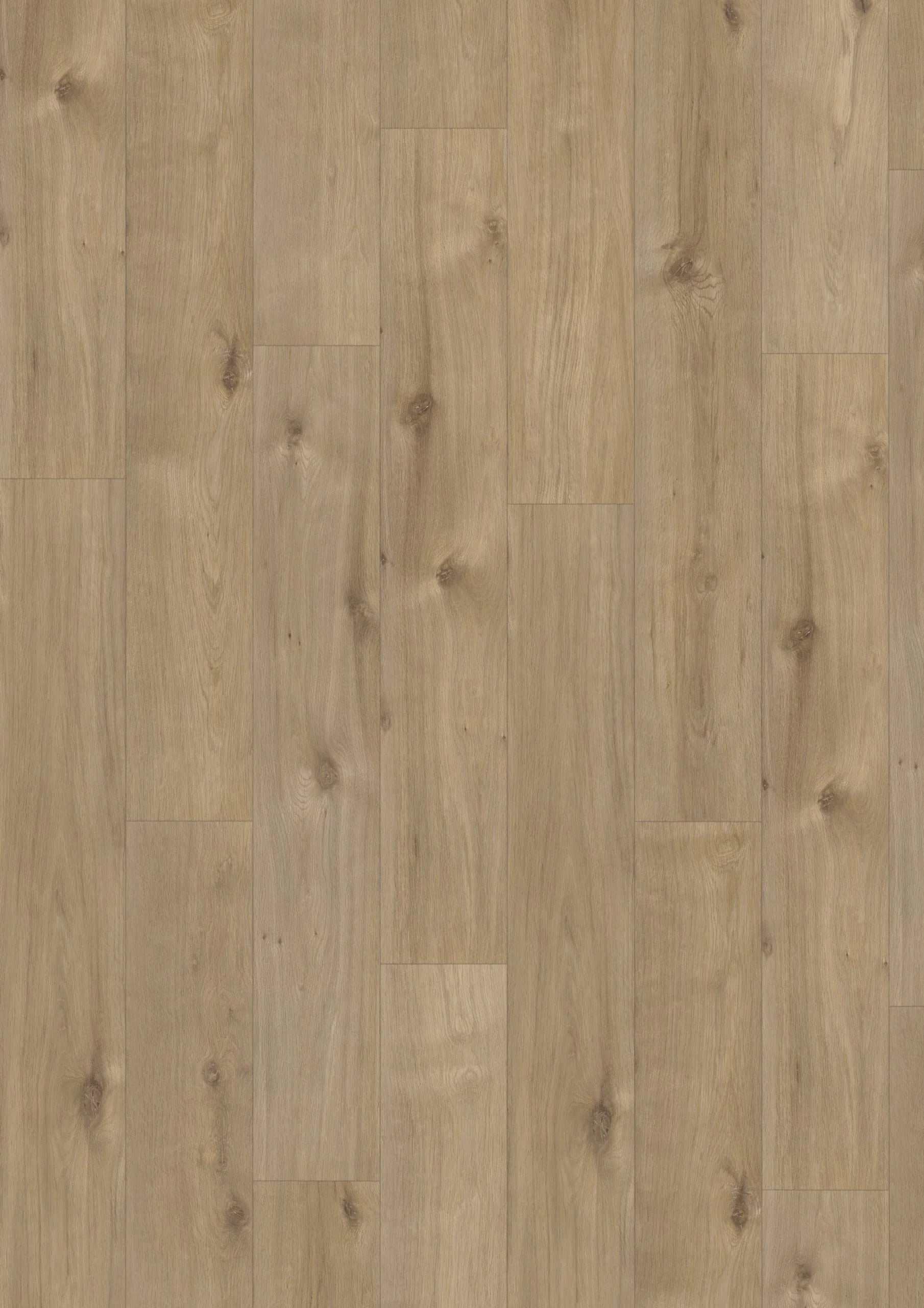 Elite Classic V4 Valerie 60969 – Aquaprotect