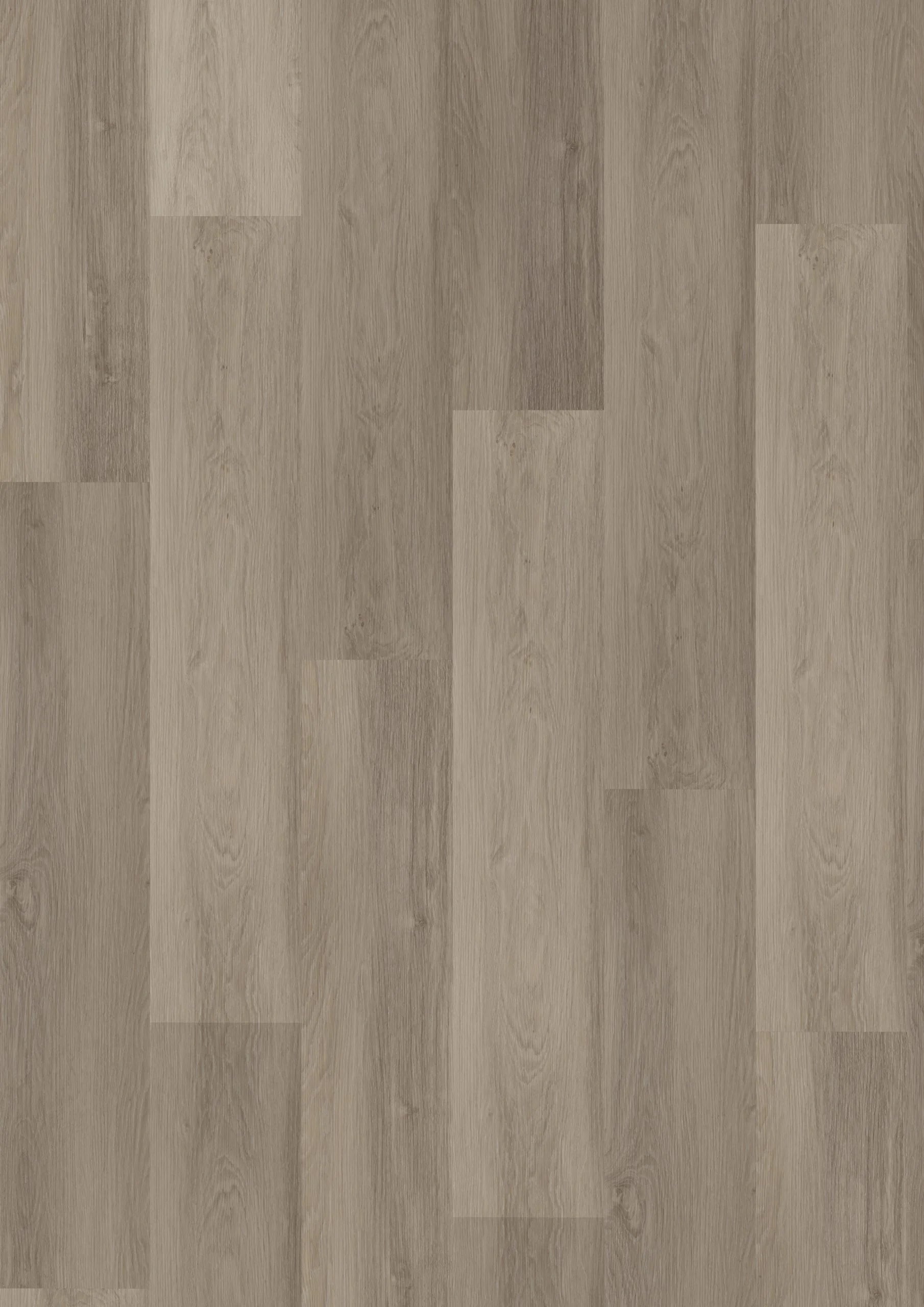 Briljant Krokus 20014 Dryback