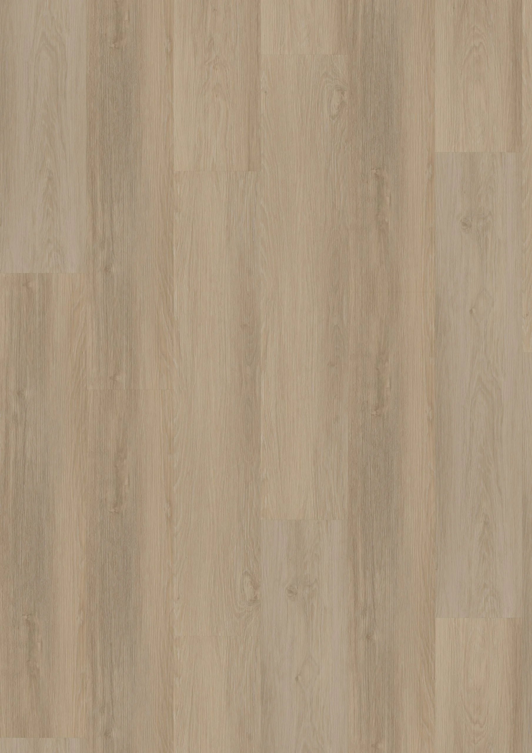 Briljant Hyacint 20015 Dryback