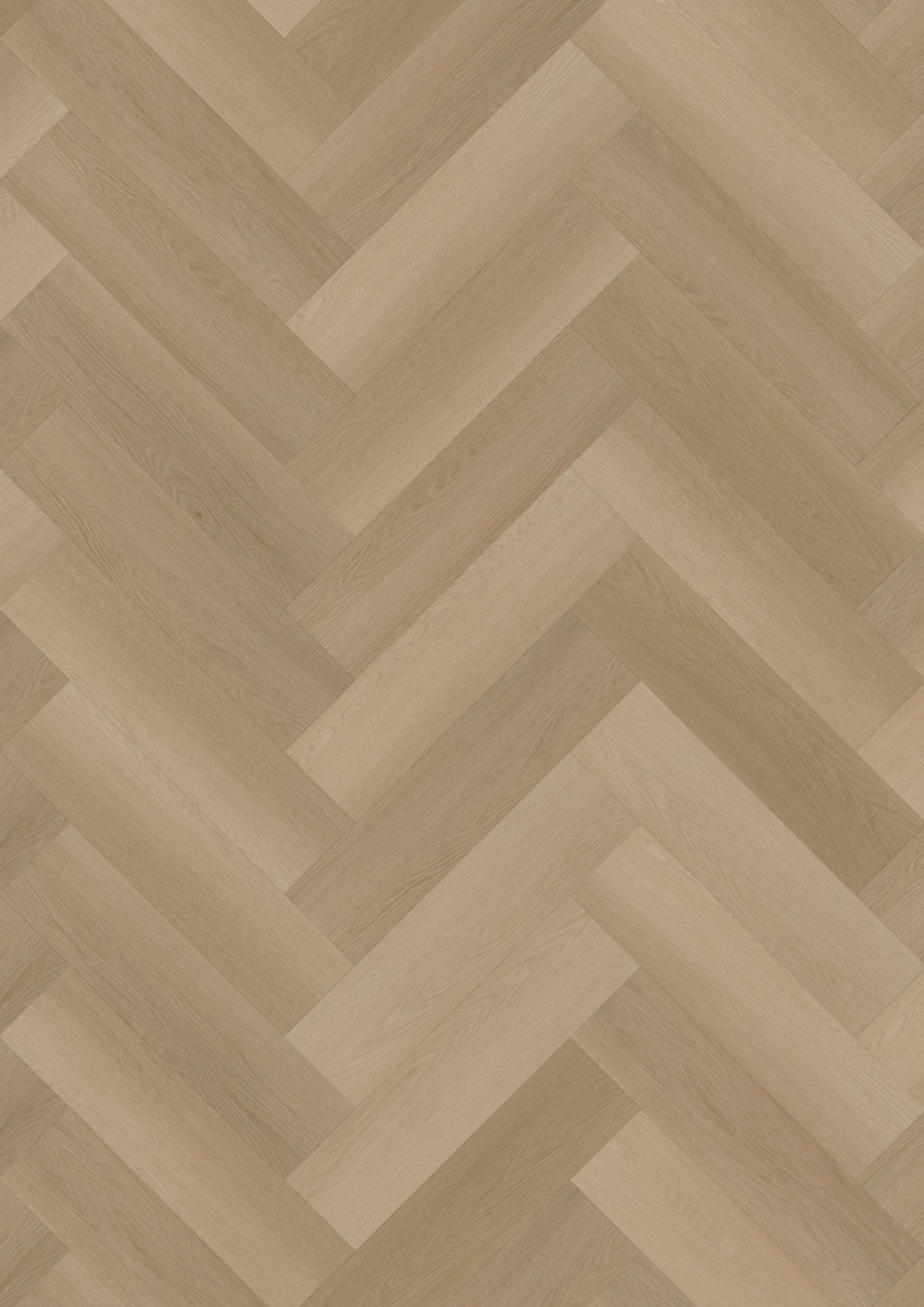 Ambassador Dryback Visgraat Ontario 120