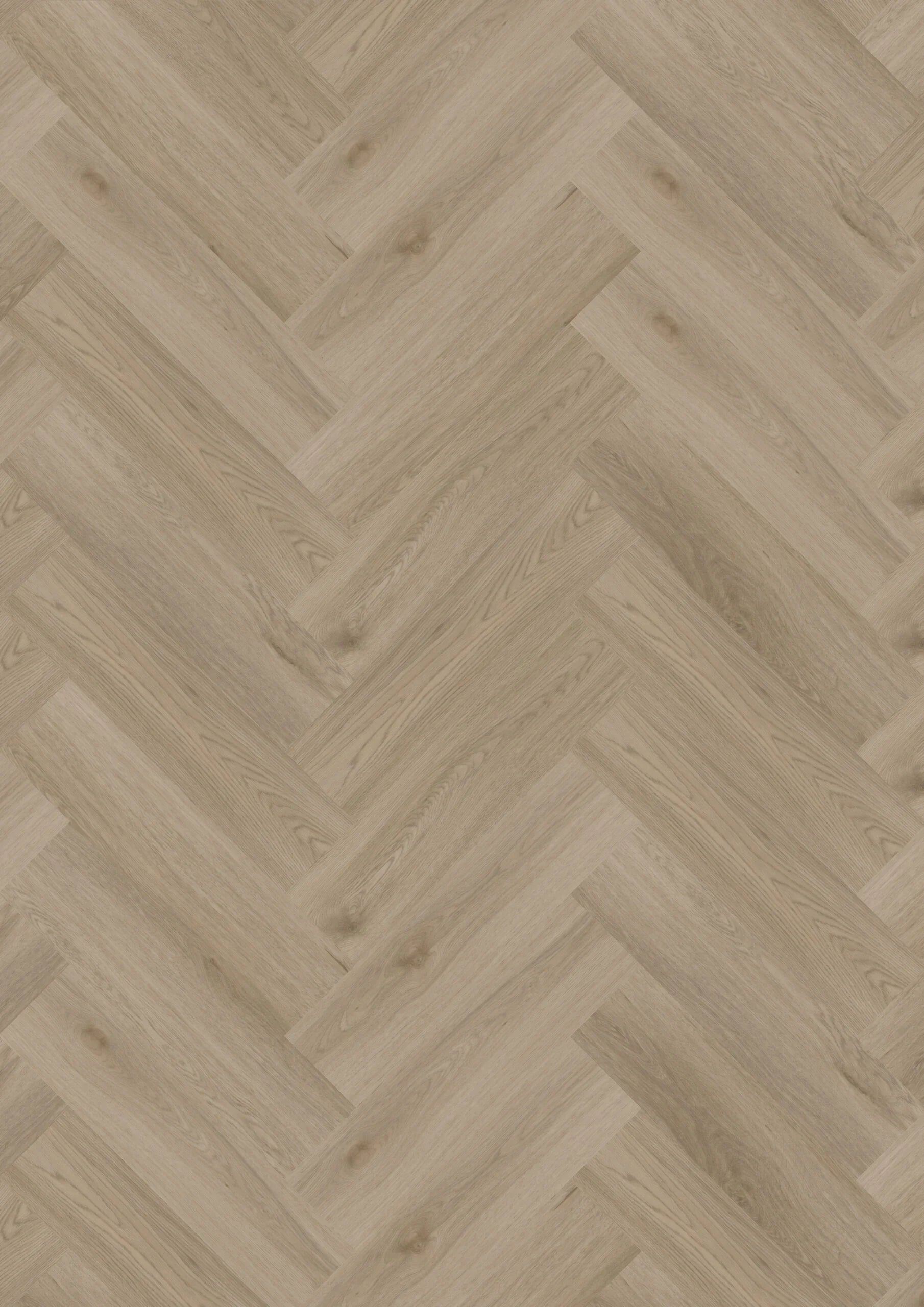 Ambassador Dryback Visgraat Winnipeg 63