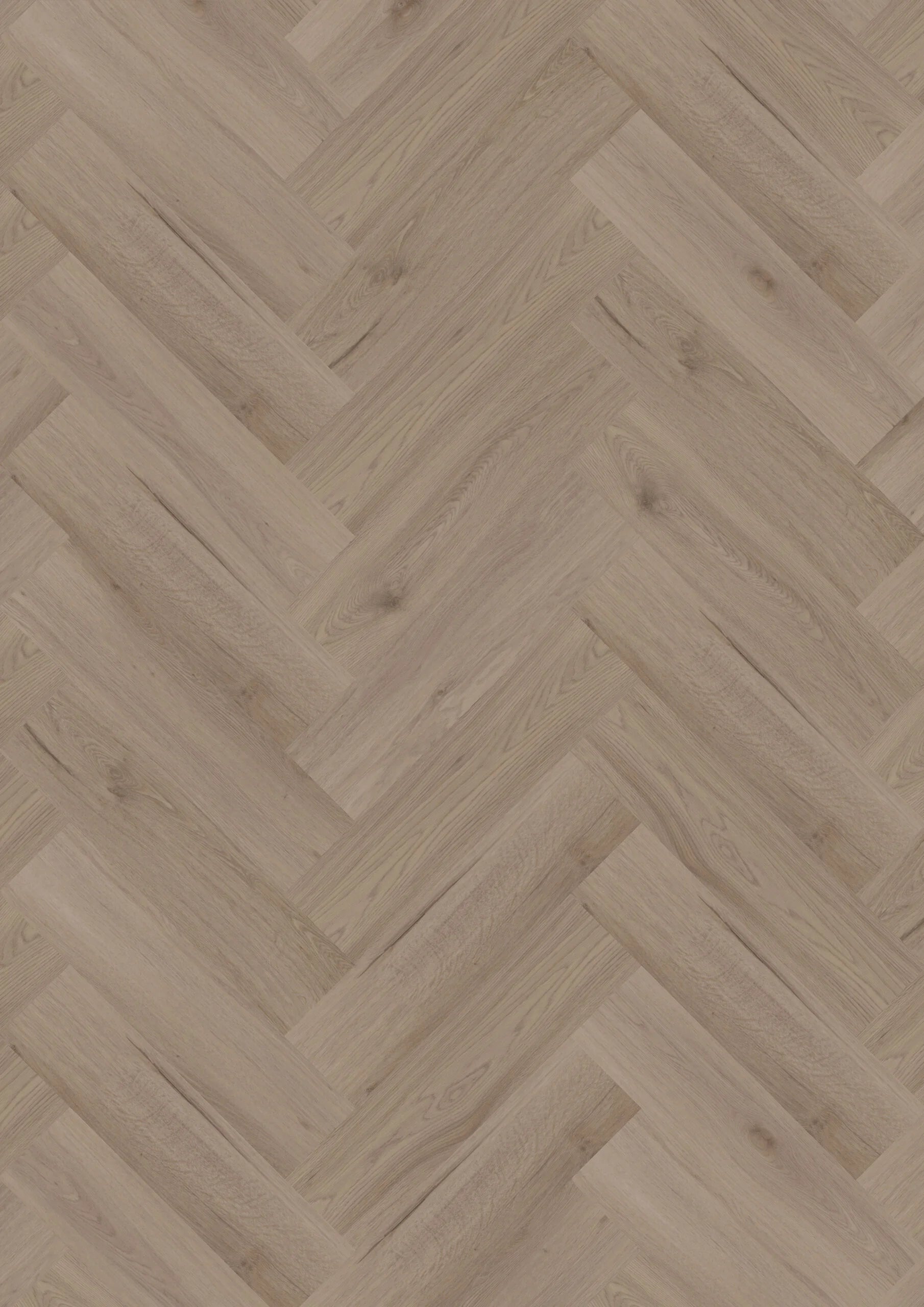 Ambassador Dryback Visgraat Vancouver 65