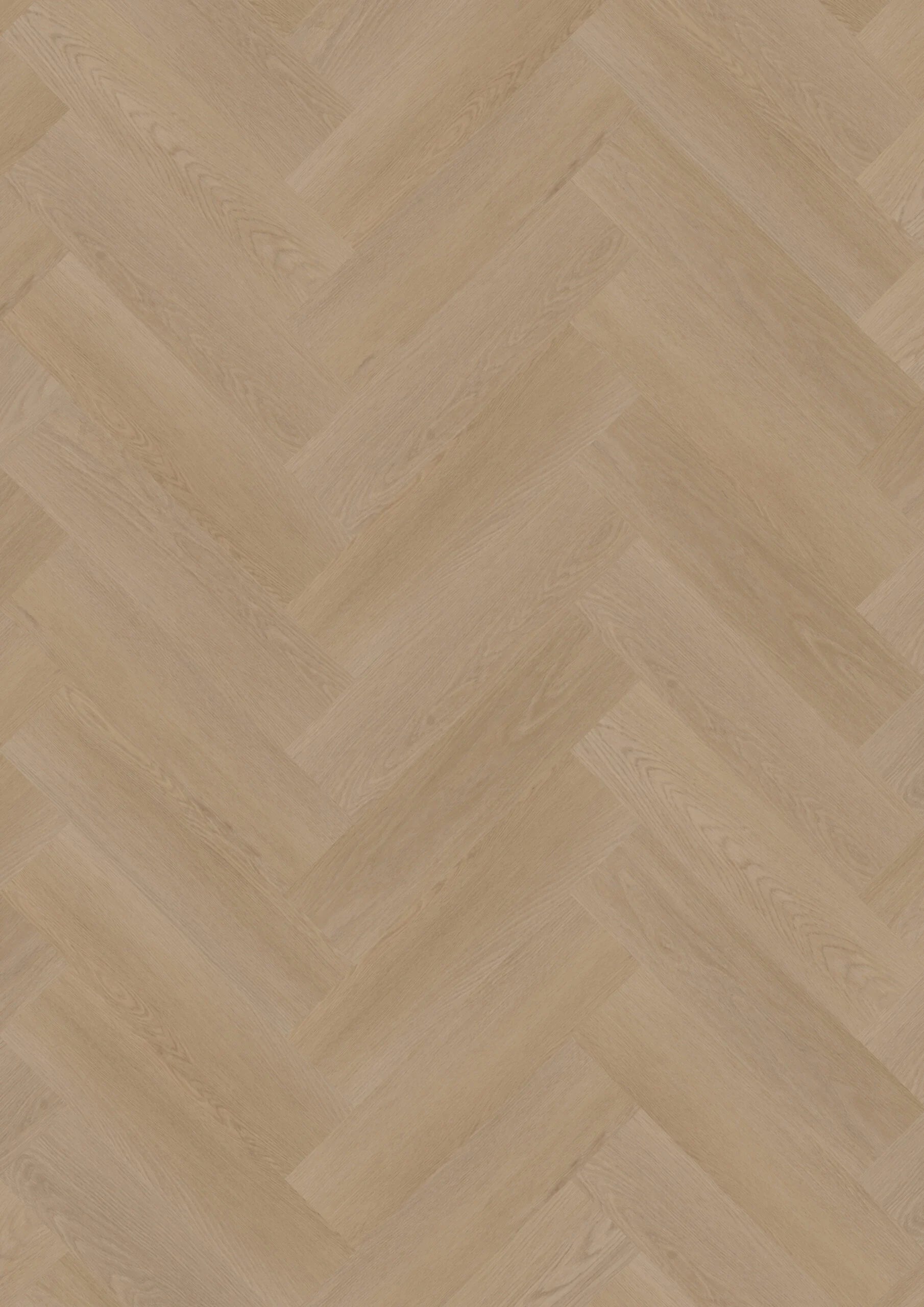 Ambassador Dryback Visgraat Halifax 6