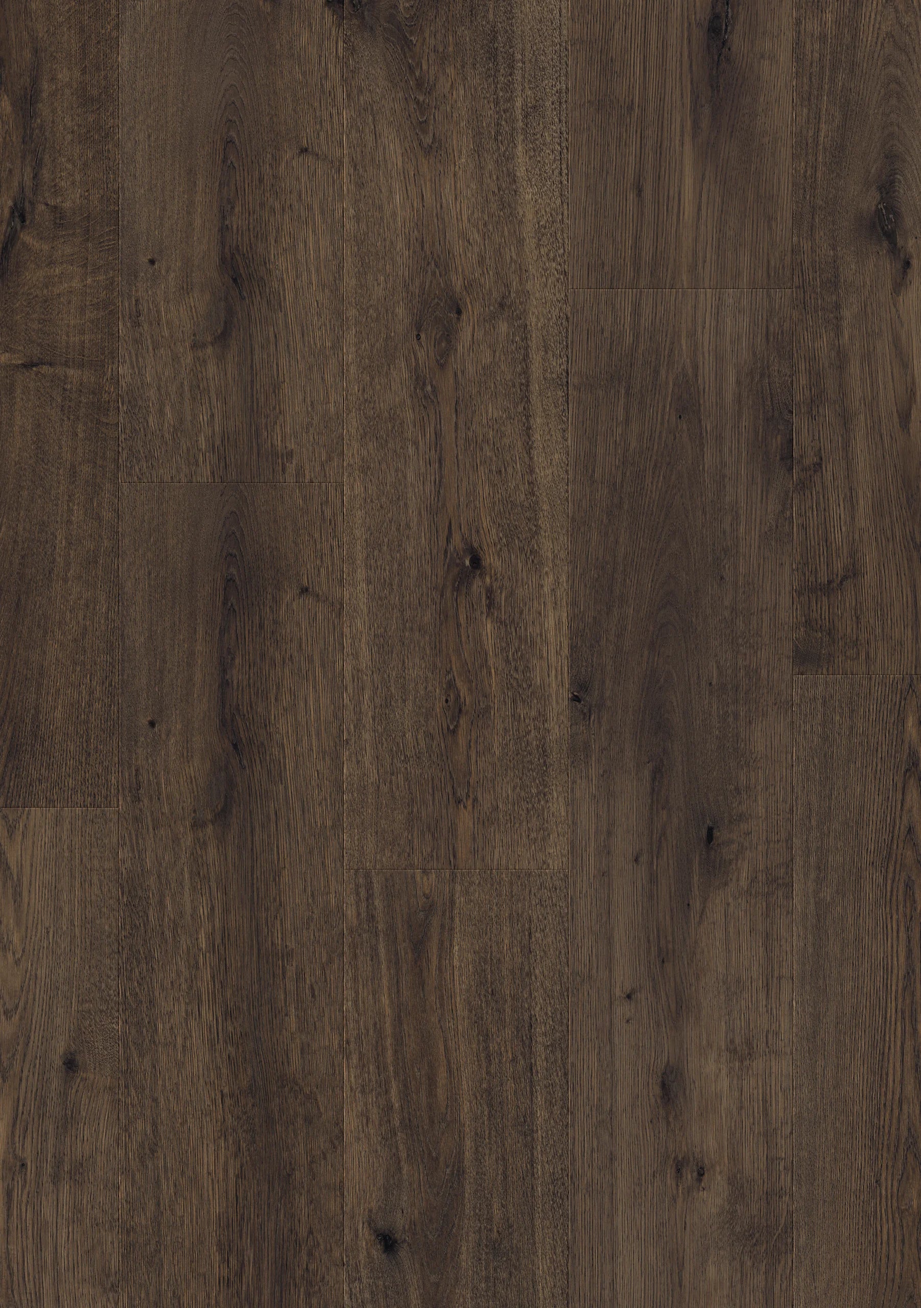 Elite XL V4 Linge 6385 – Aquaprotect