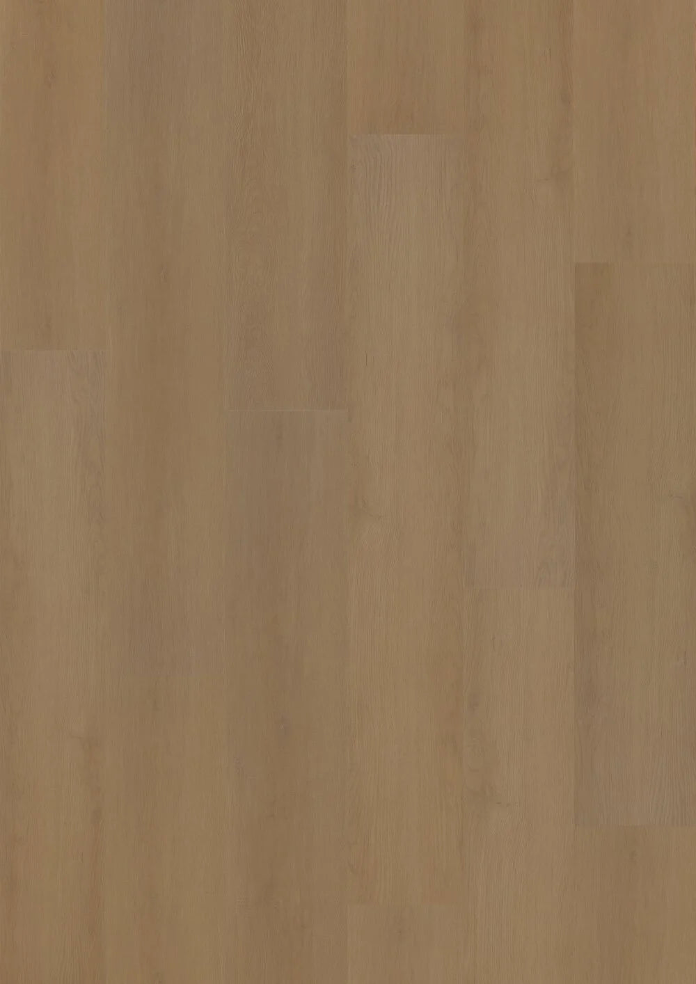 Hoomline Prestige Dryback plank Nice 5053