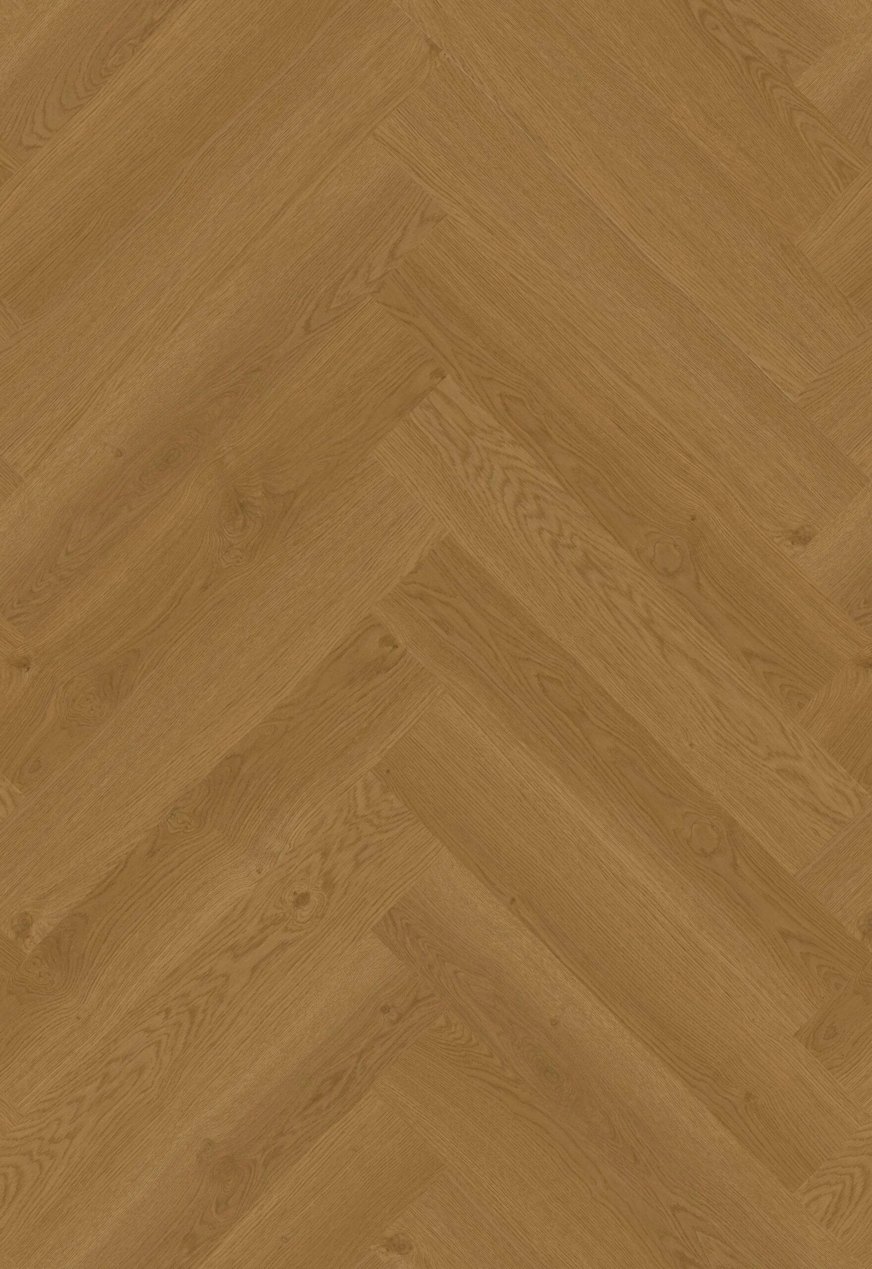 Hoomline Elegance Dryback Visgraat Leeuw 51317