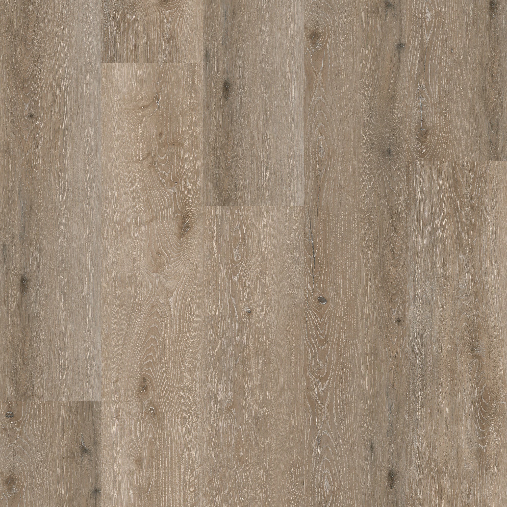 Noble Oak 55 - 50 RLV 3955