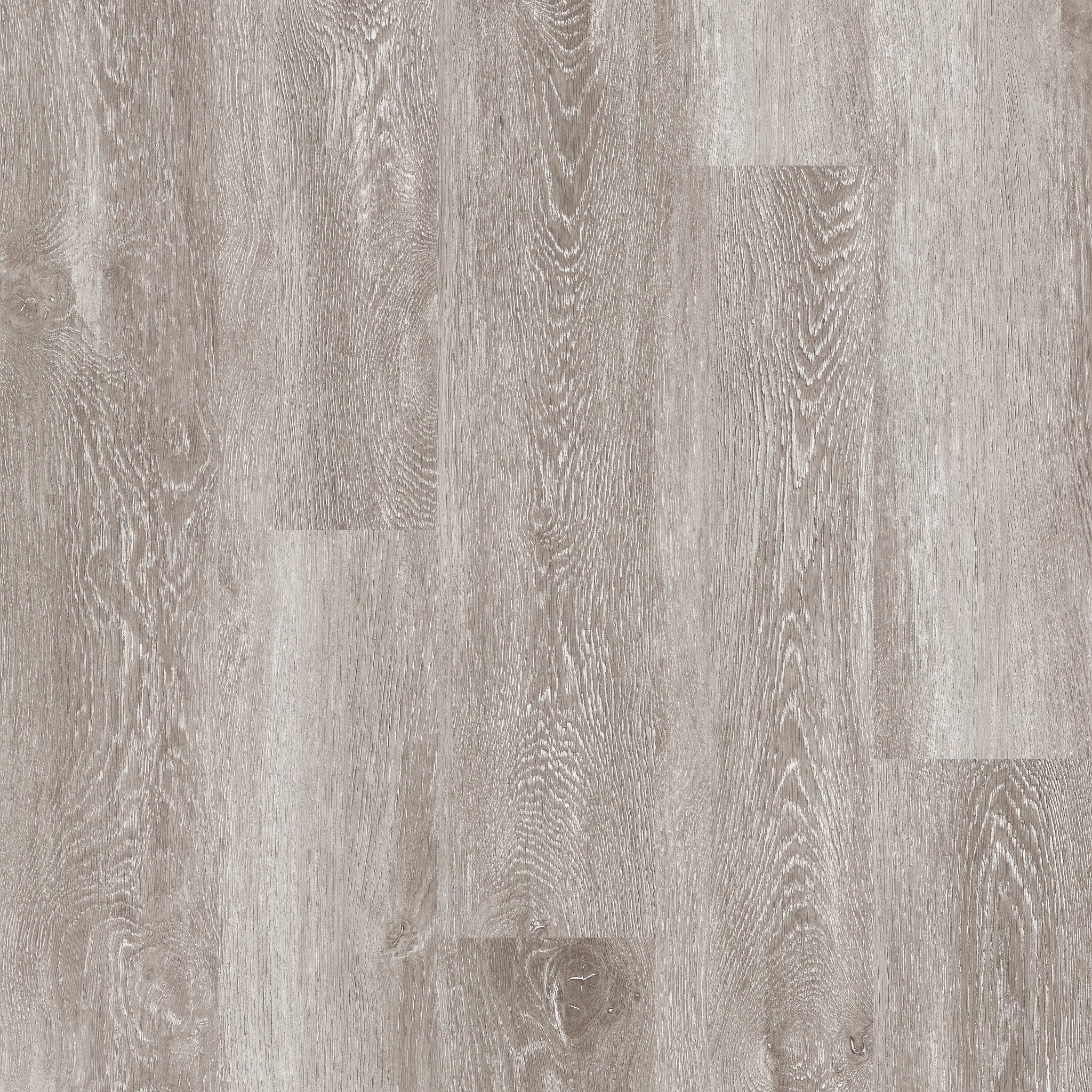 Century - 50 RLV 1204