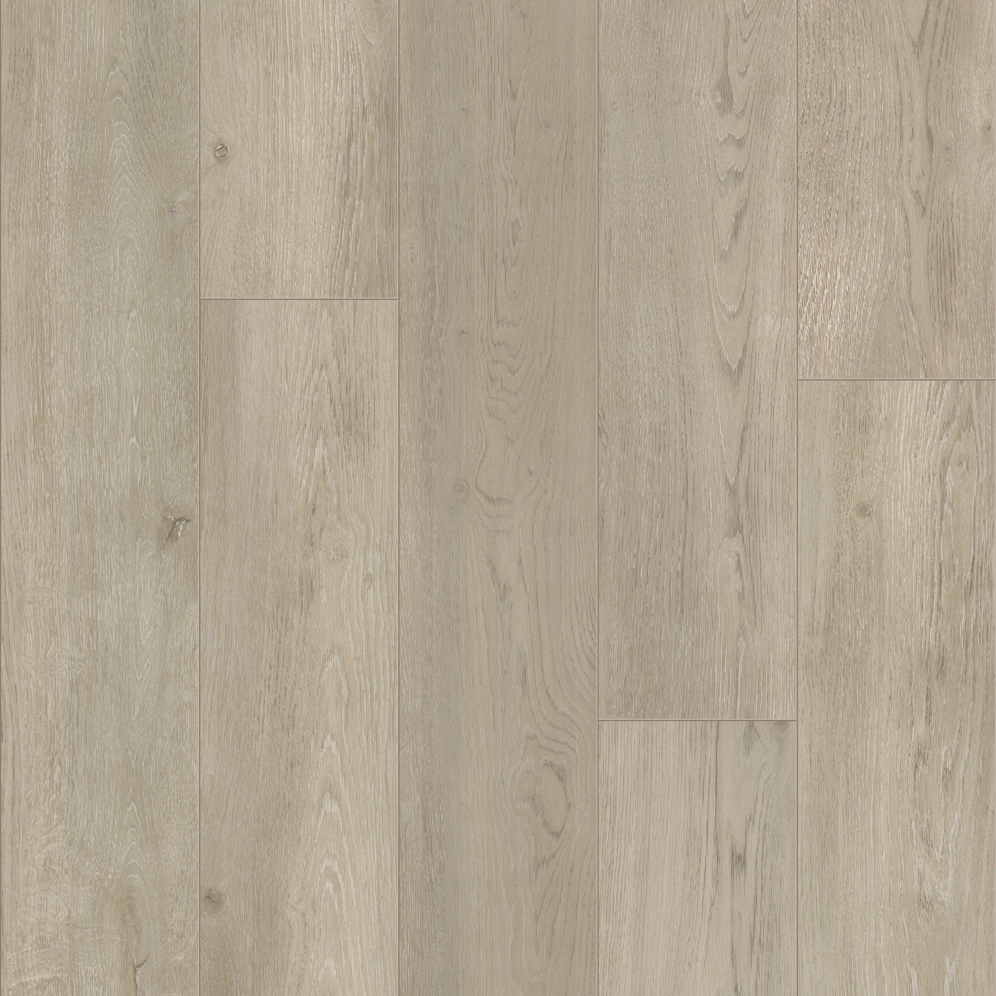 Baltimore Oak 95 - 50 LVRE 1295