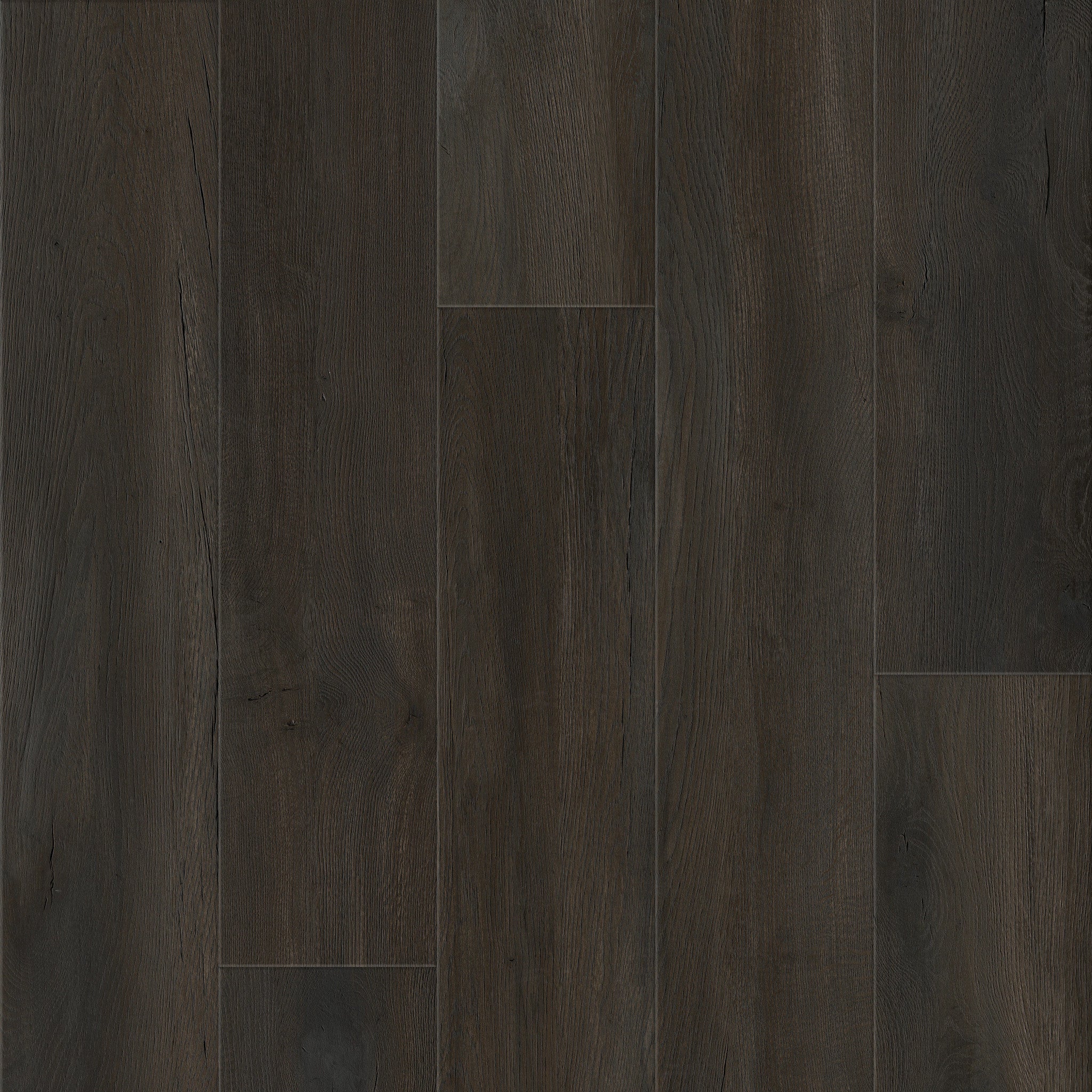 Raven - 50 LVRE 3188