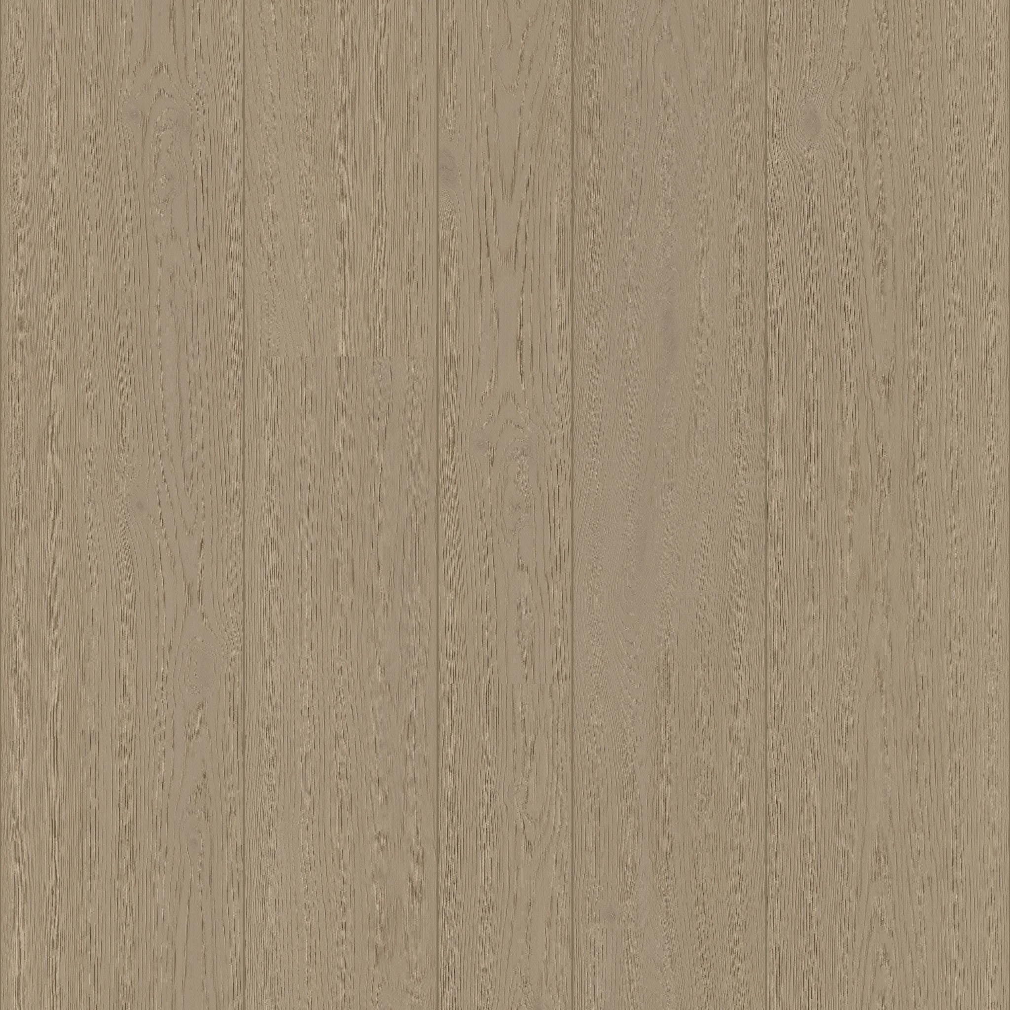 Fern - 50 LVREM 3273