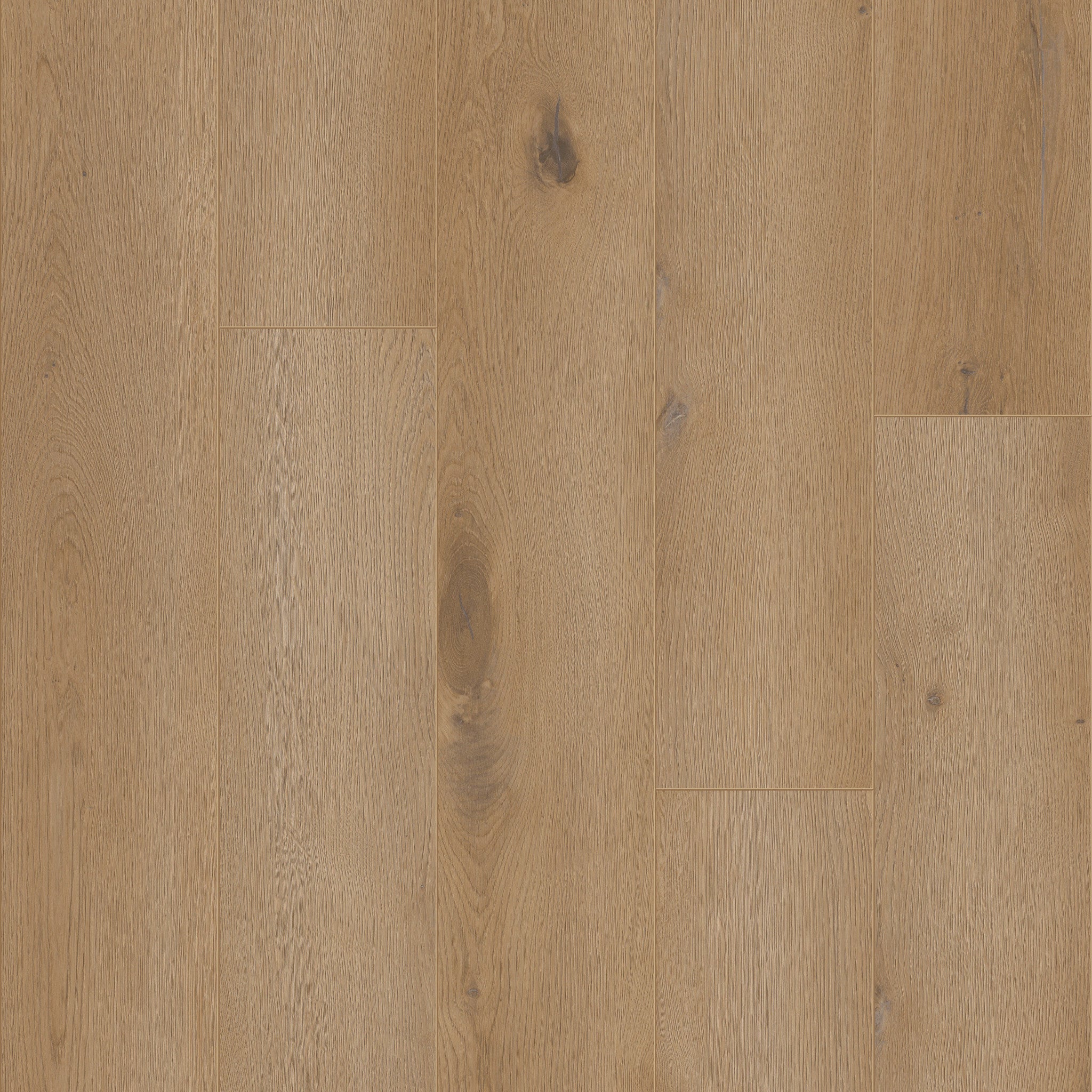 Moraine - 50 LVRE 113