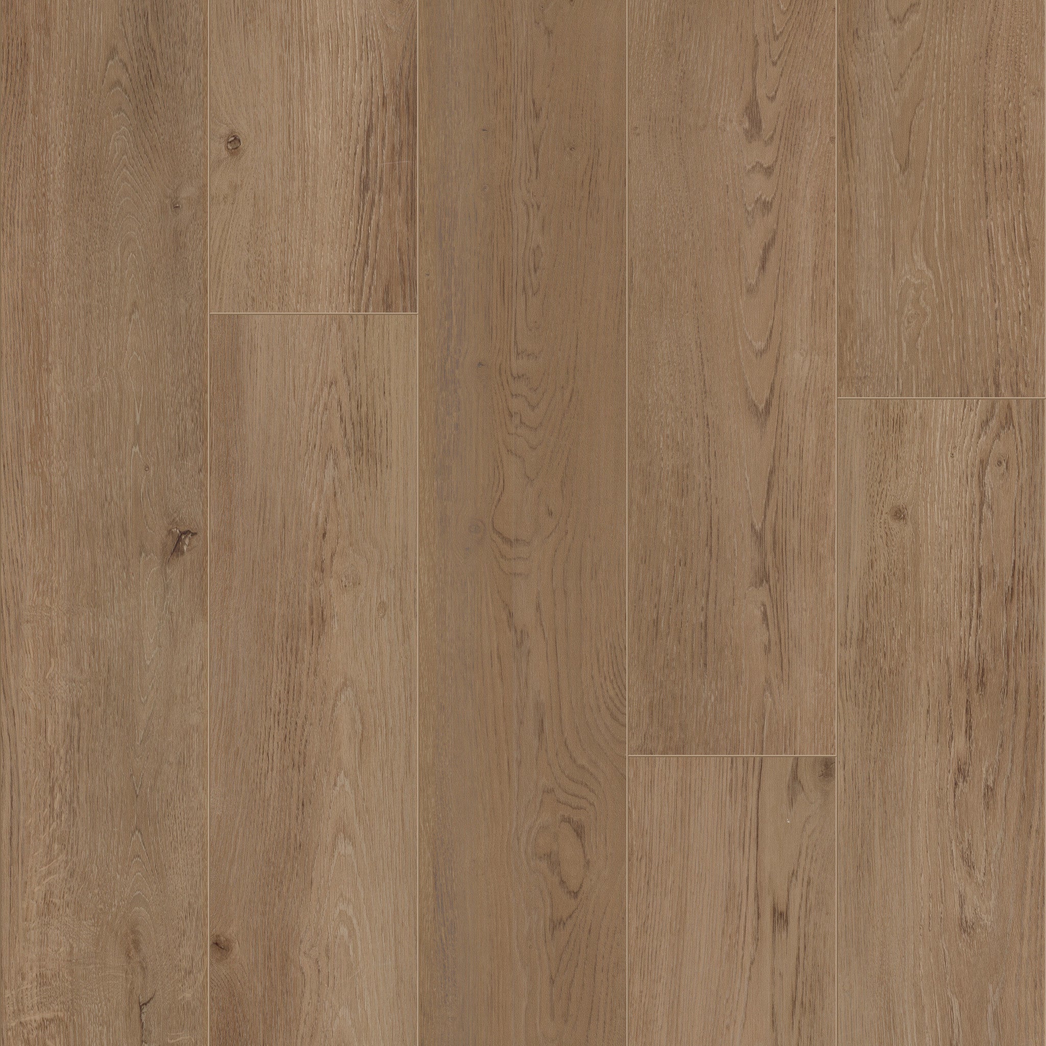 Baltimore Oak 84 - 50 LVRE 1284