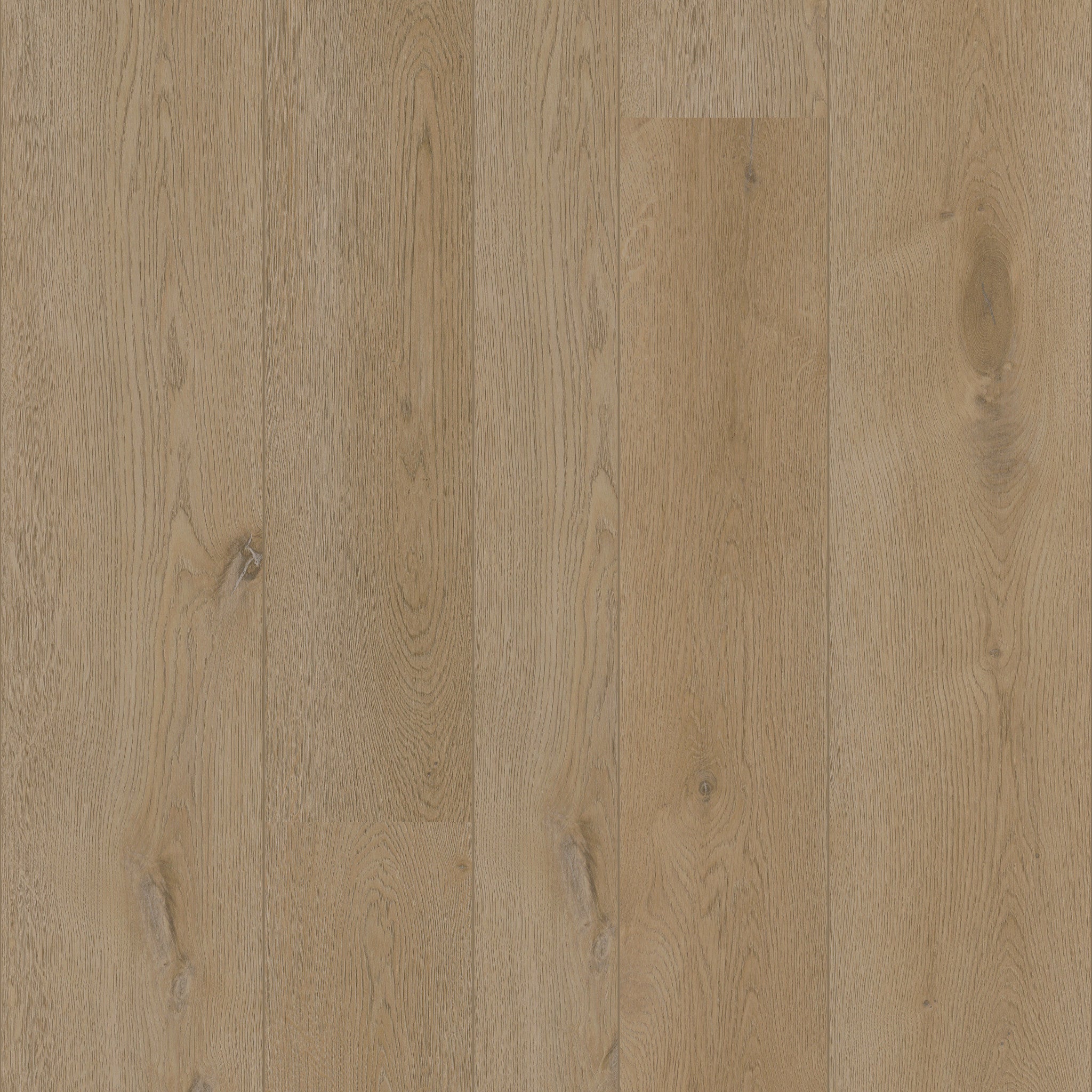 Texas Oak M54 - 50 LVREM 2454