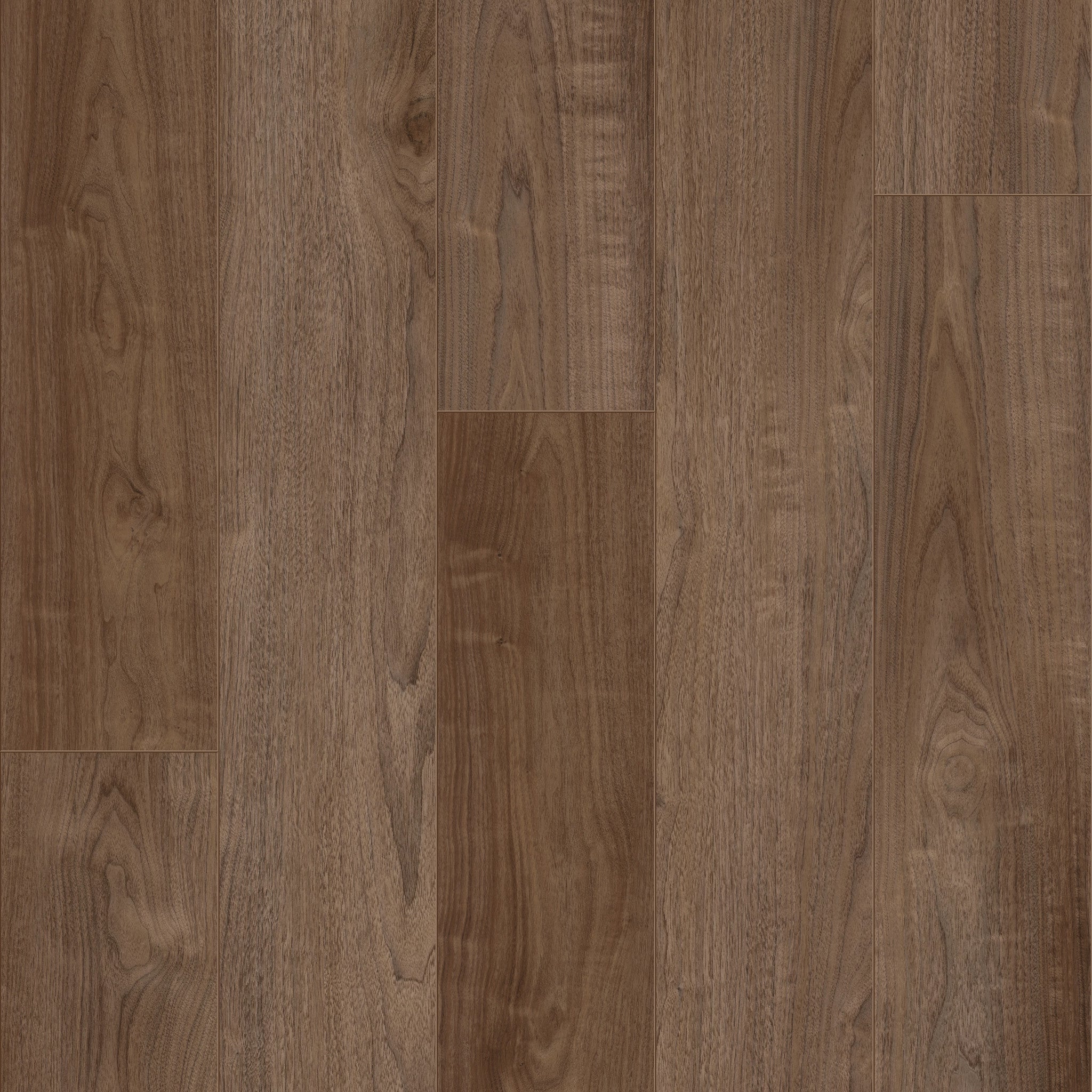 Kingdom - 50 RLVE 1228