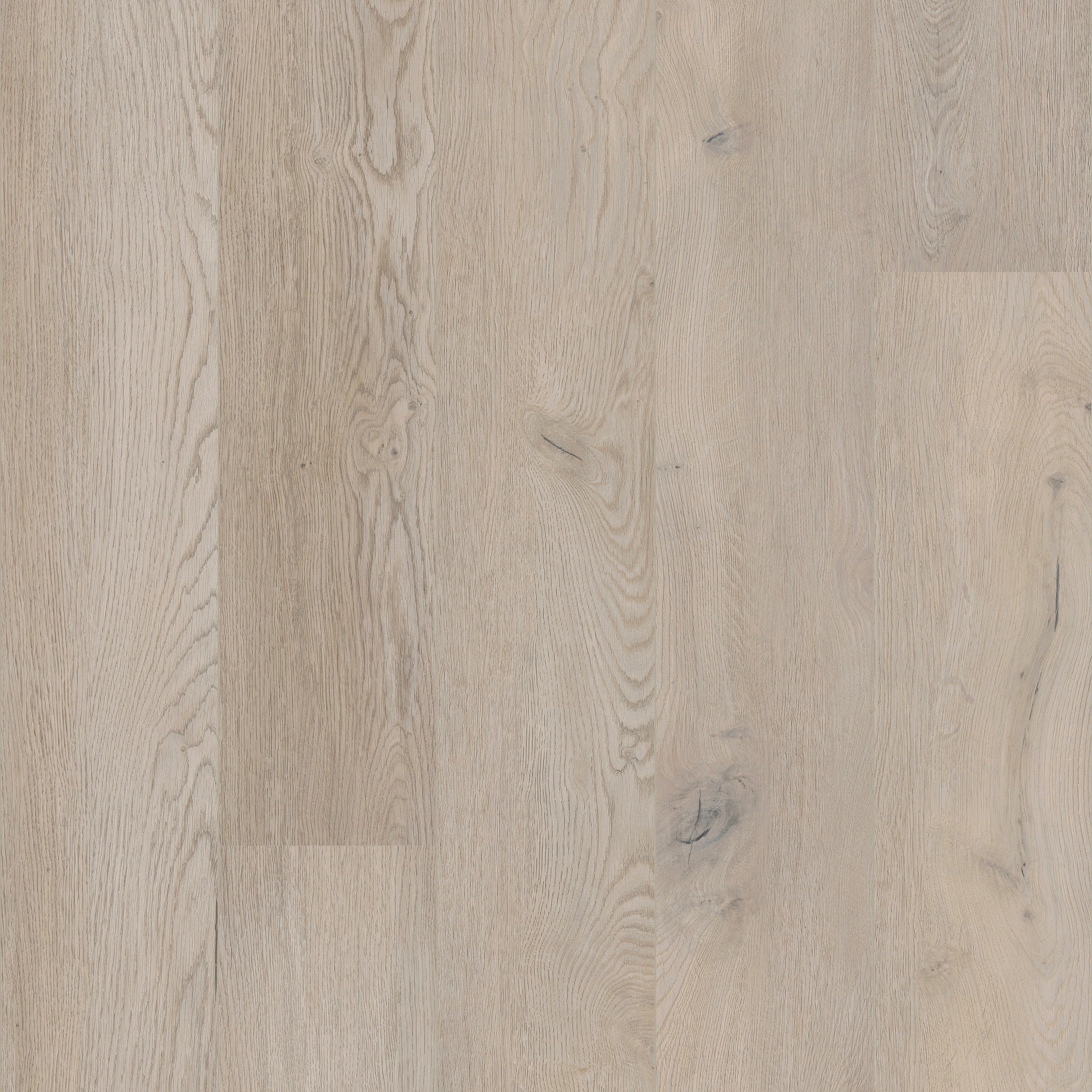 Kantara - 50 LVREXL 2515