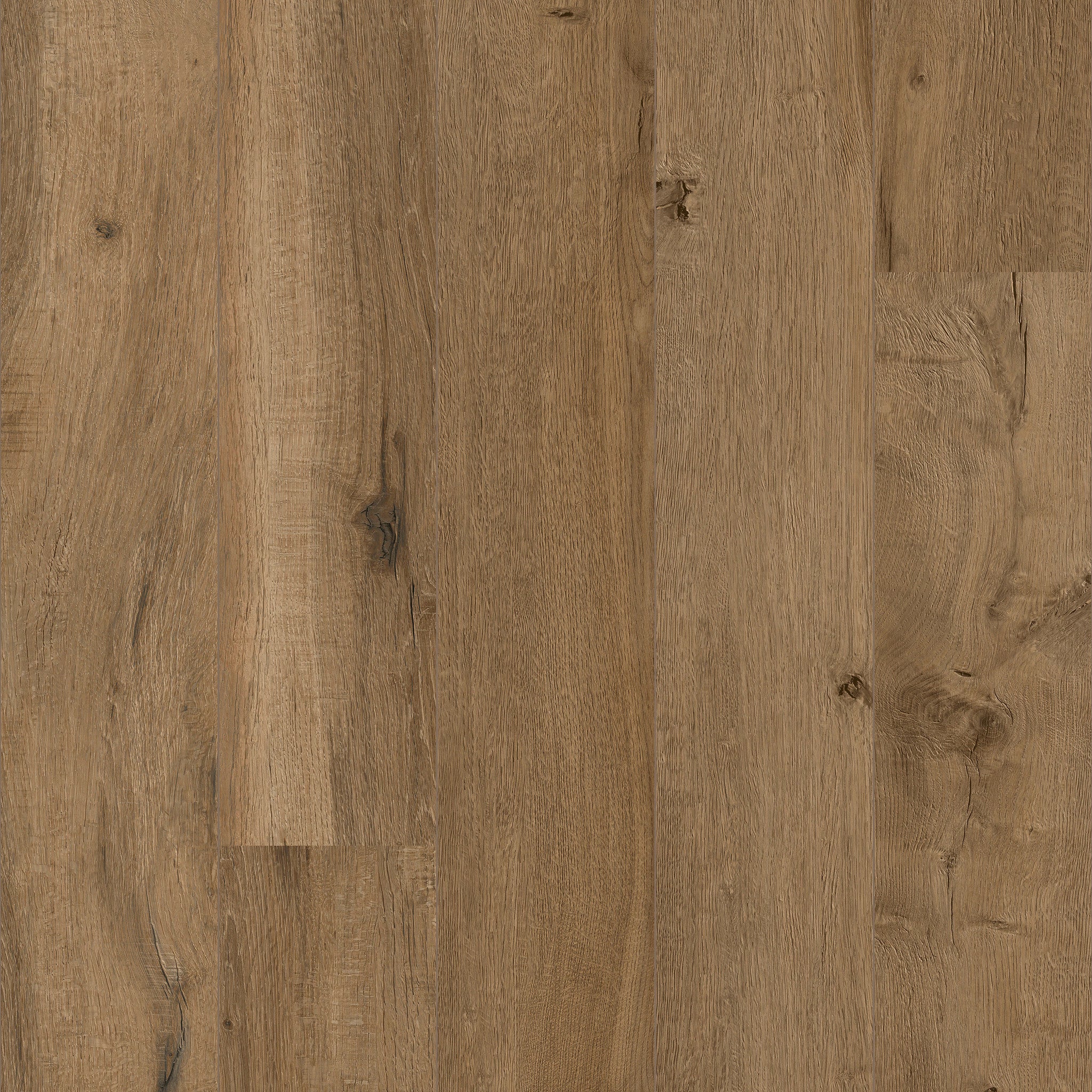 Windsor - 50 LVREXL 2683