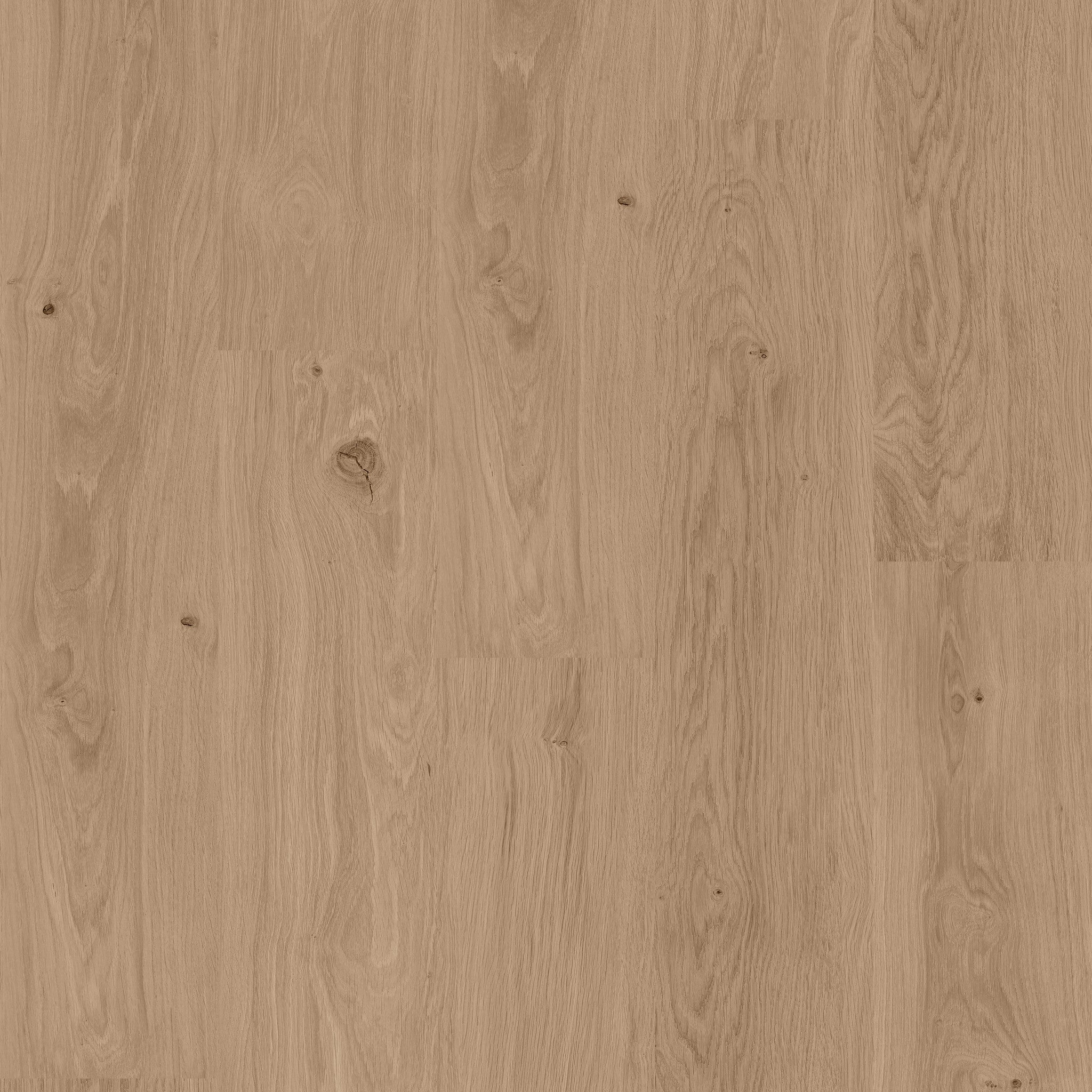 Venetian - 50 RLVR 4356