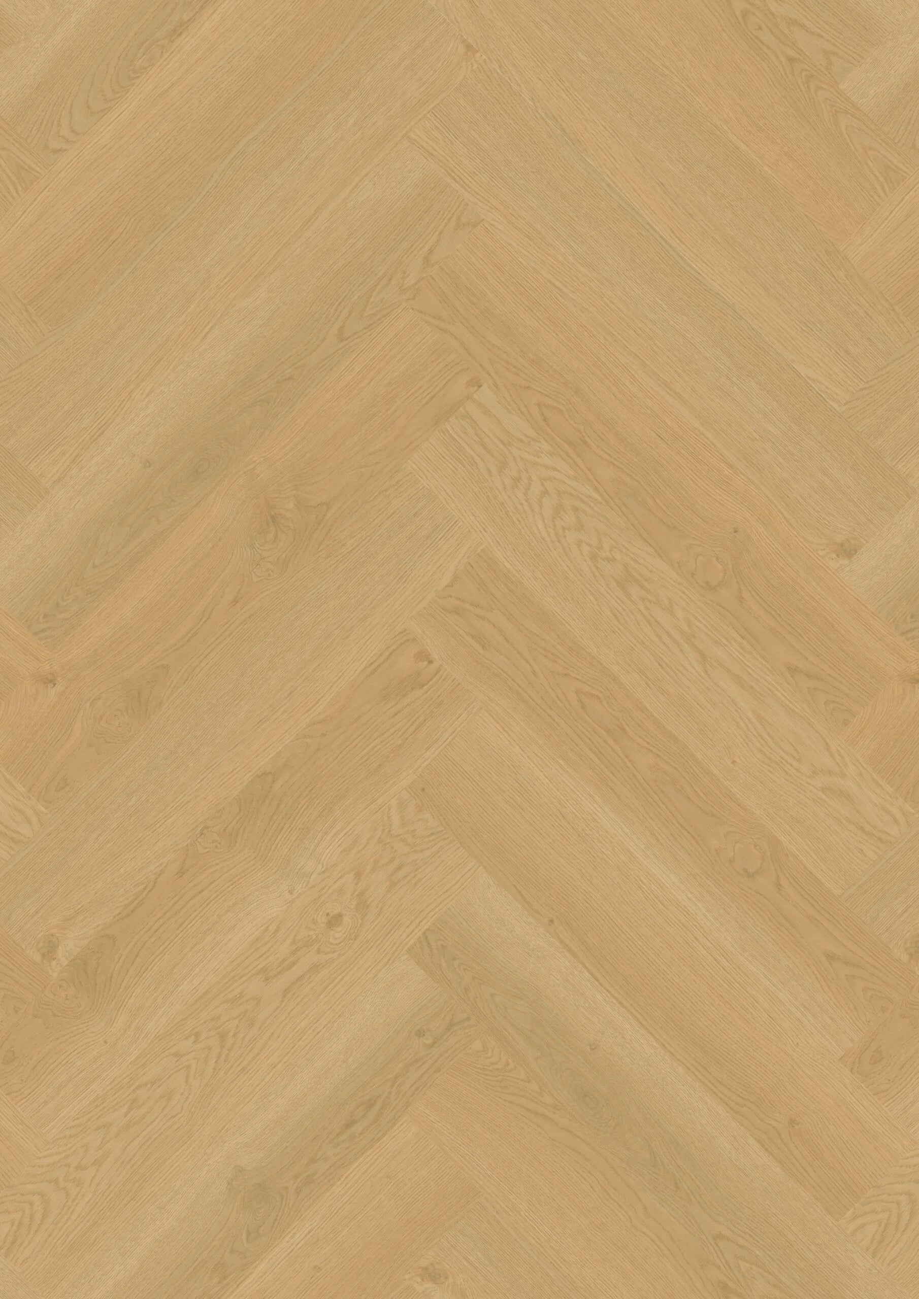 Hoomline Elegance Dryback Visgraat Neushoorn 51319