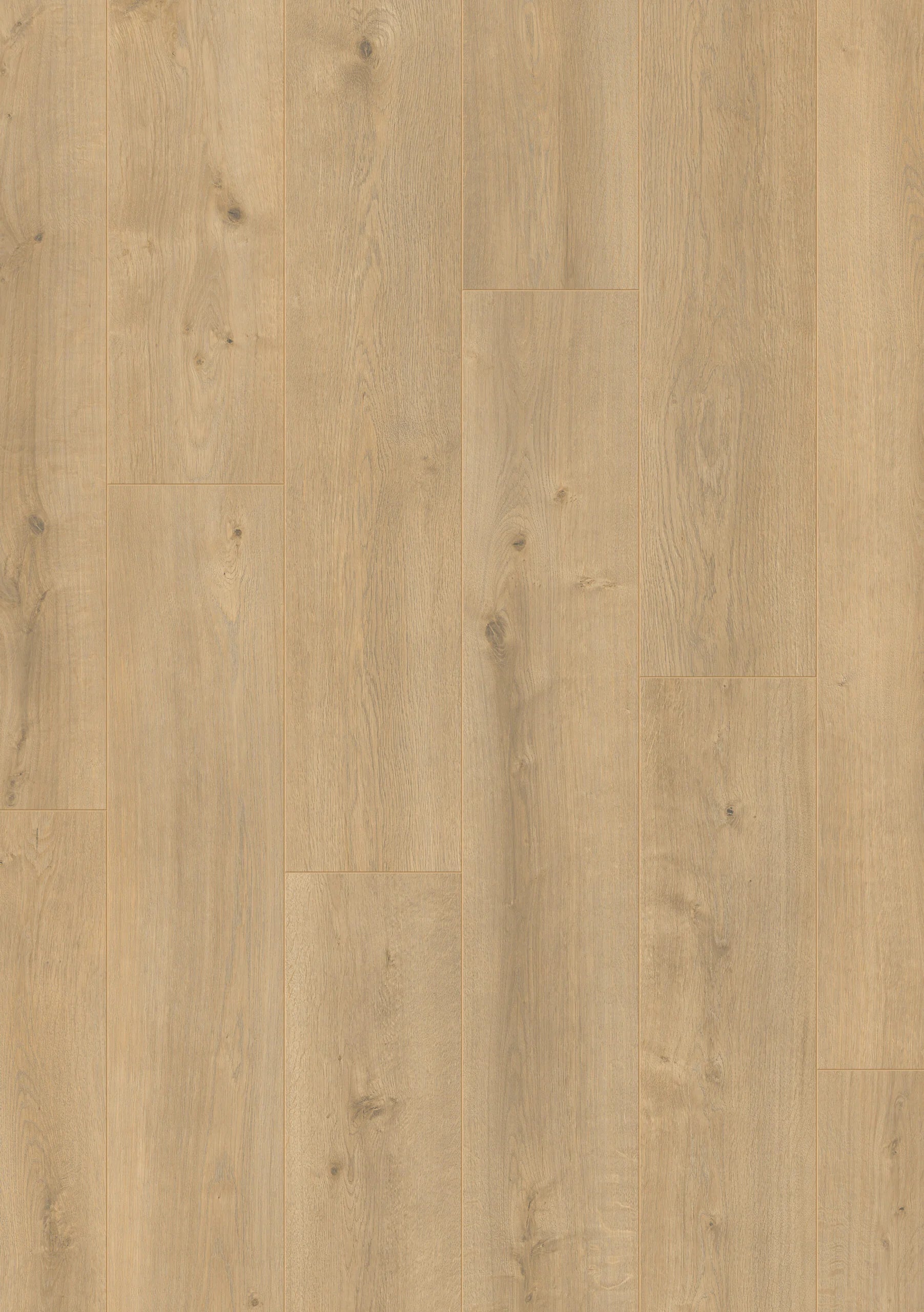 Royal XL V2 Matterhorn 8128 – Aquaprotect