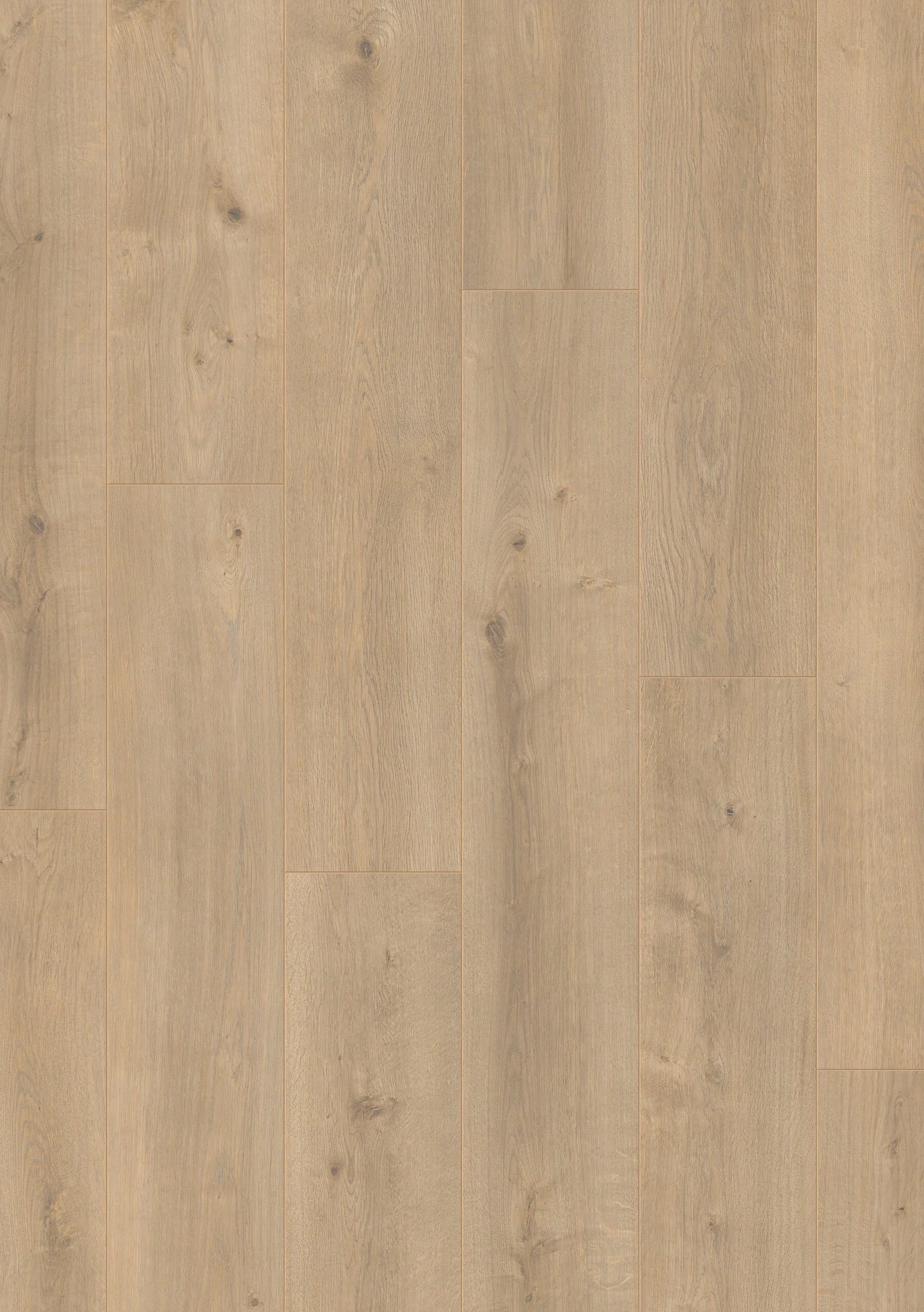 Royal XL V2 Mont Blanc 8127 – Aquaprotect