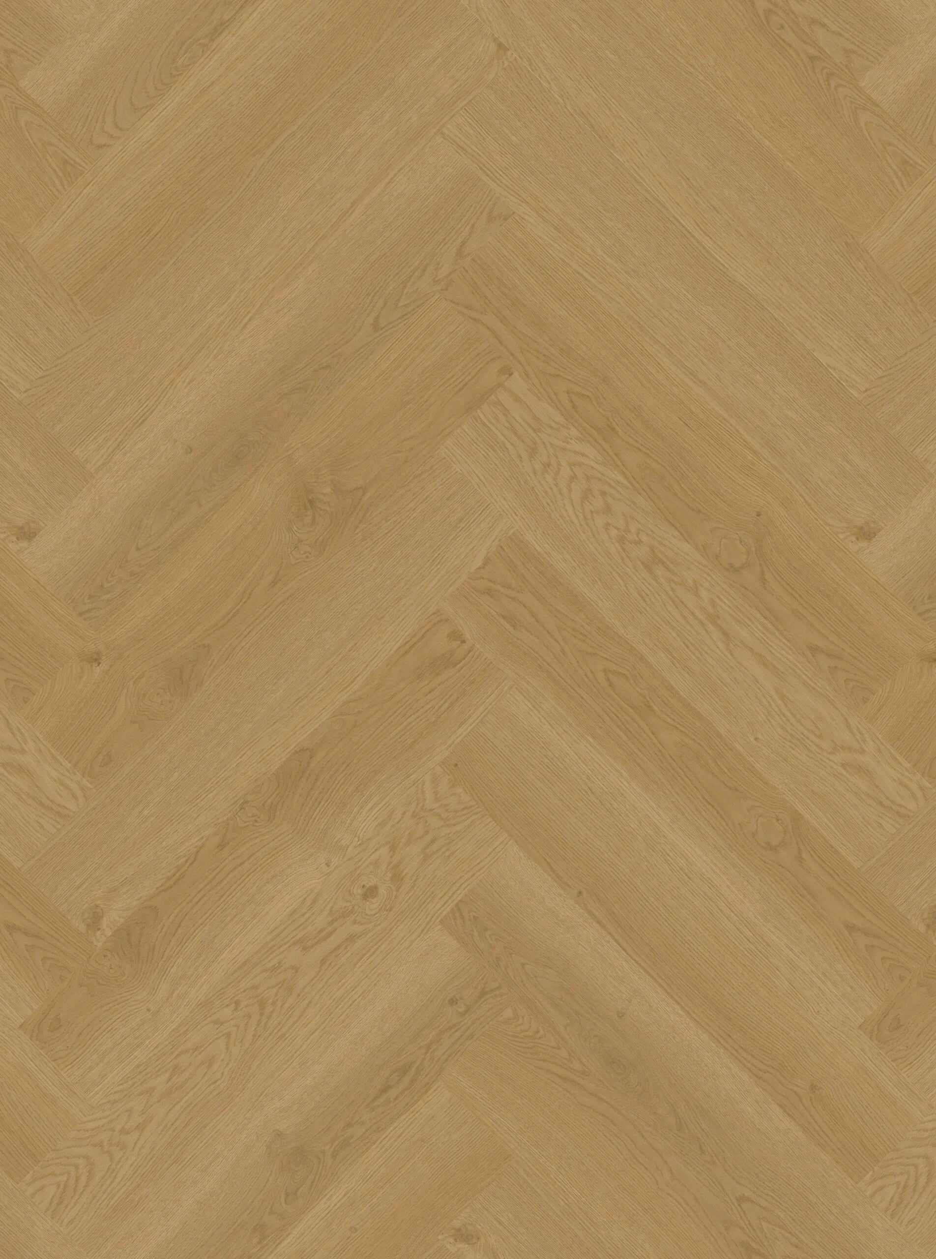 Hoomline Elegance Dryback Visgraat Zebra 51315